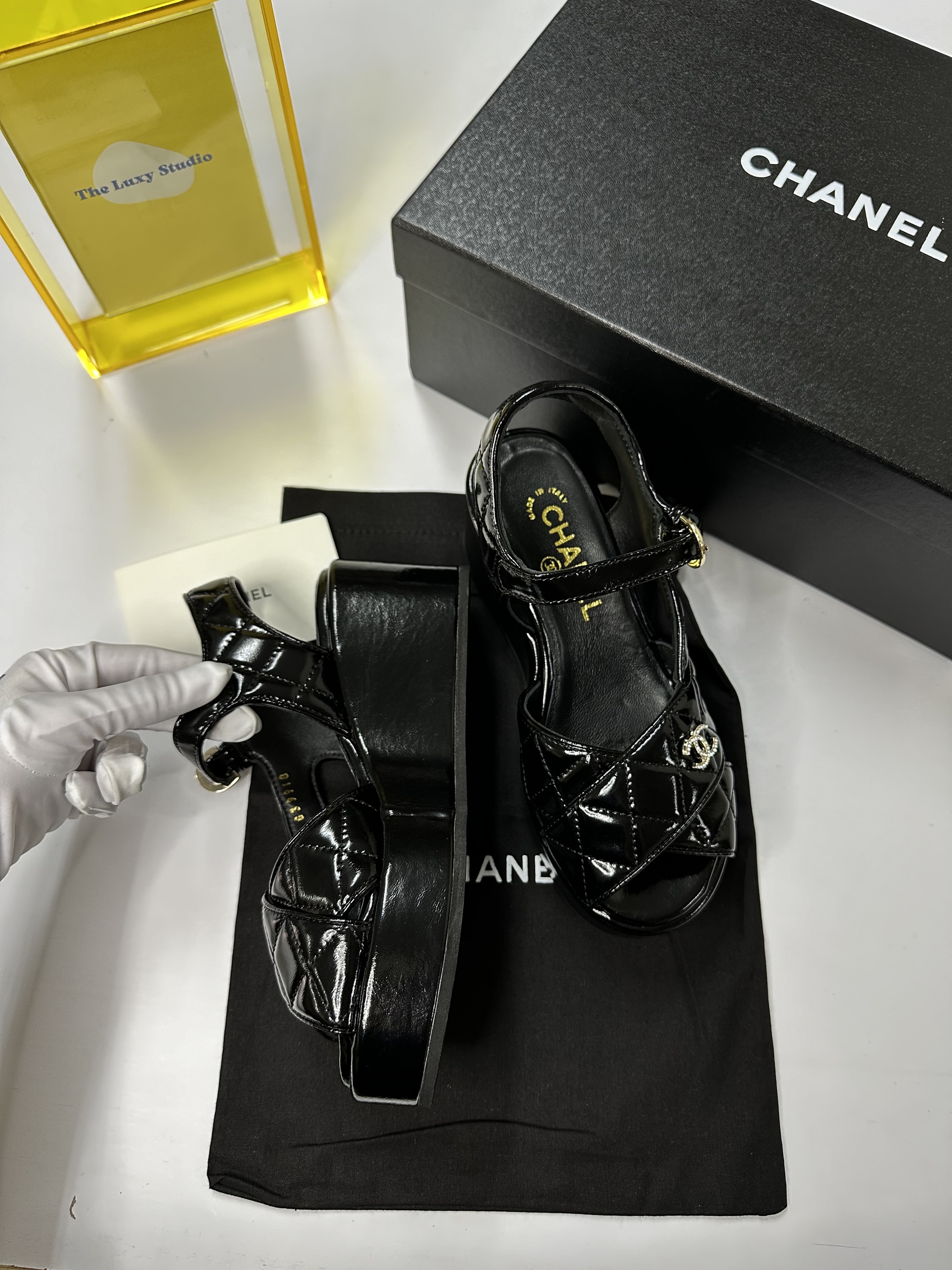 IMG_7543-1715525655610