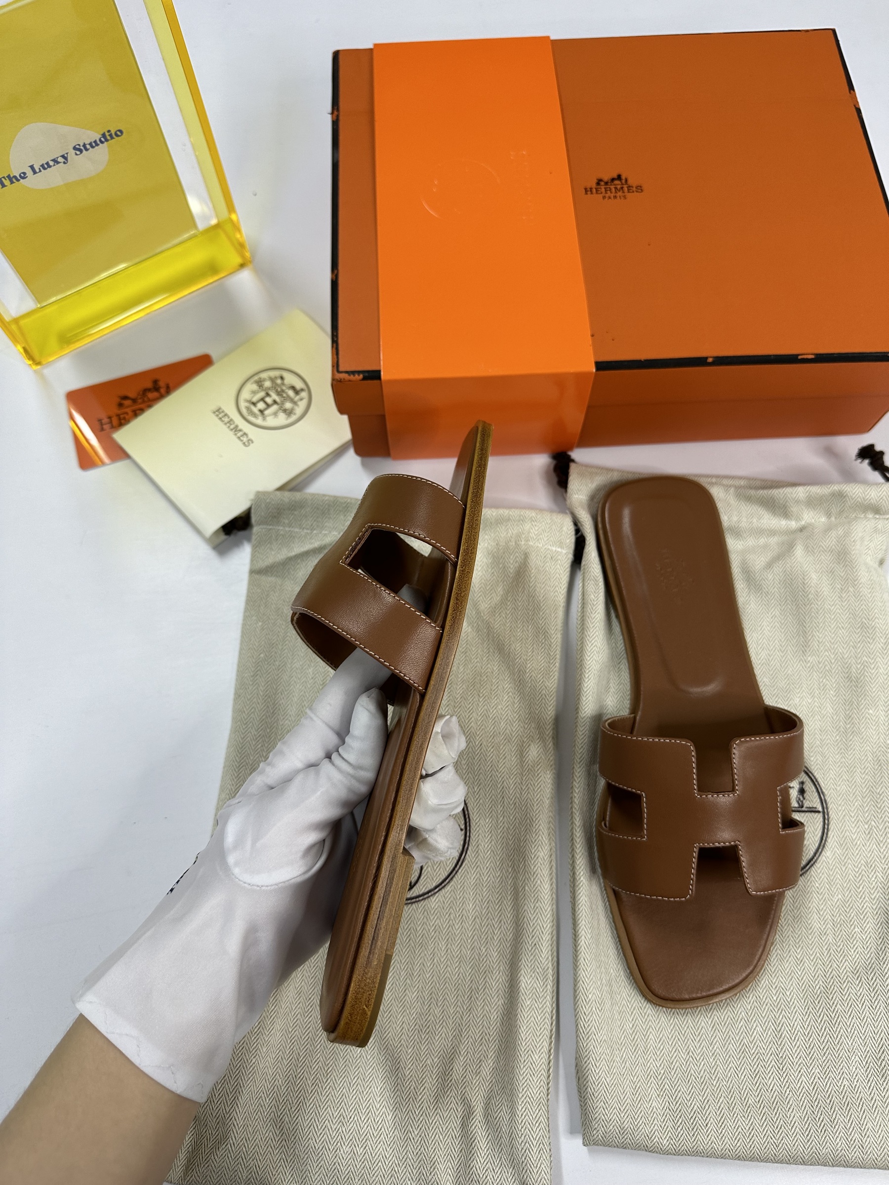 IMG_7415-1715525766396