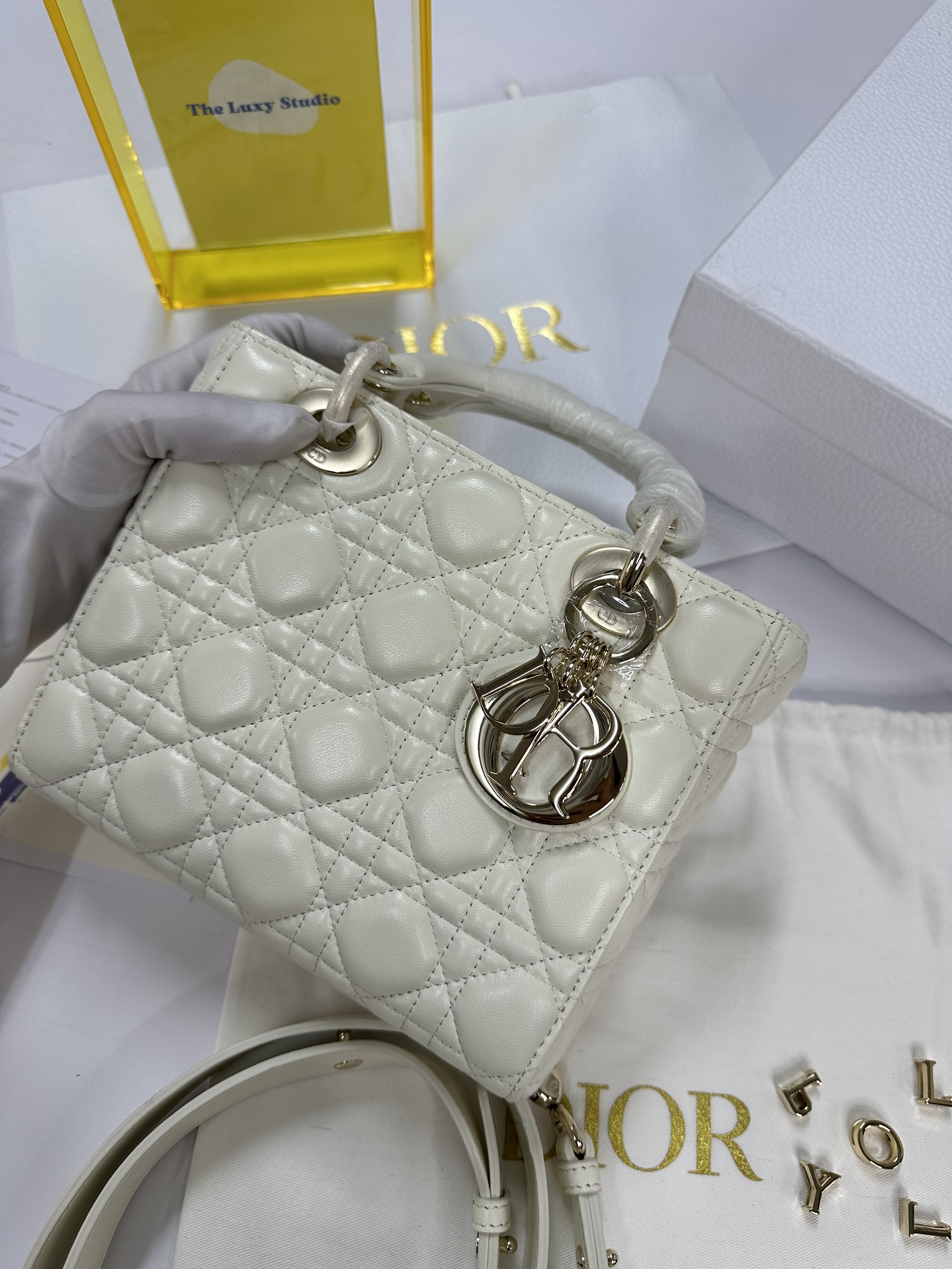 IMG_7343-1715526069319