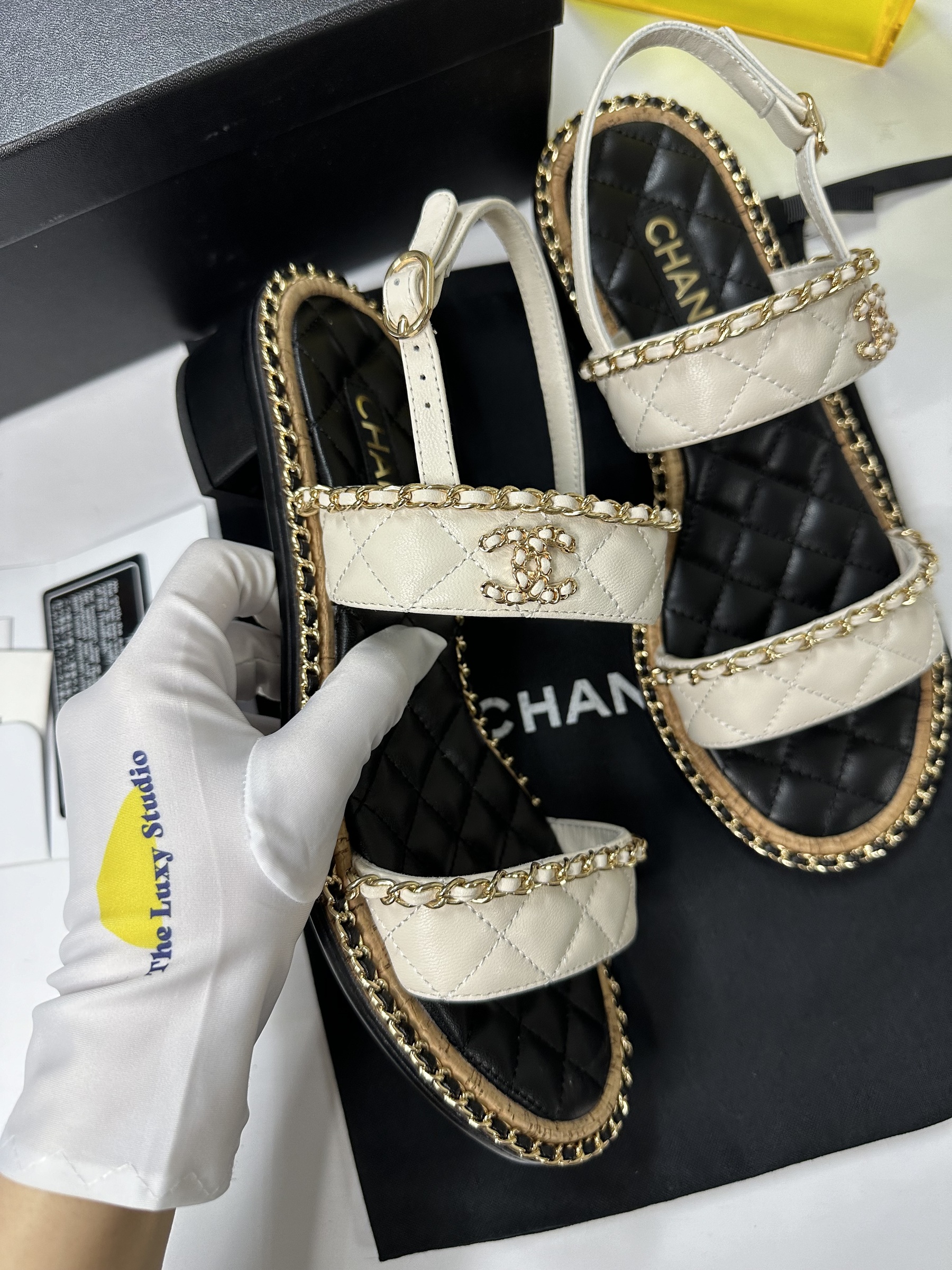 IMG_7742-1716906643301