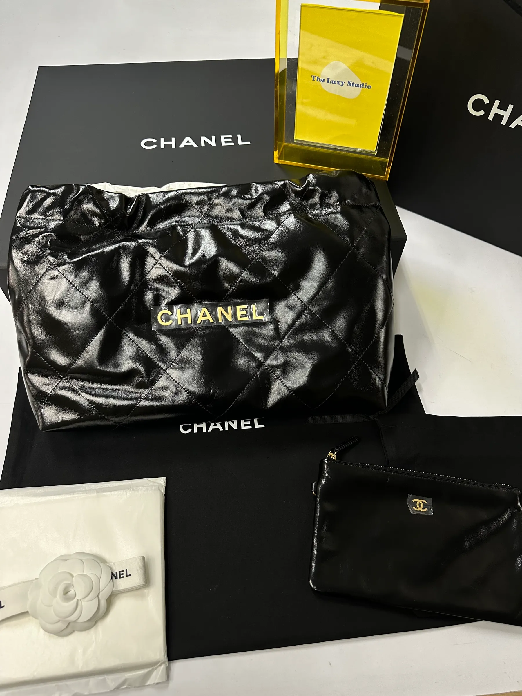 IMG_8281-1723785579201