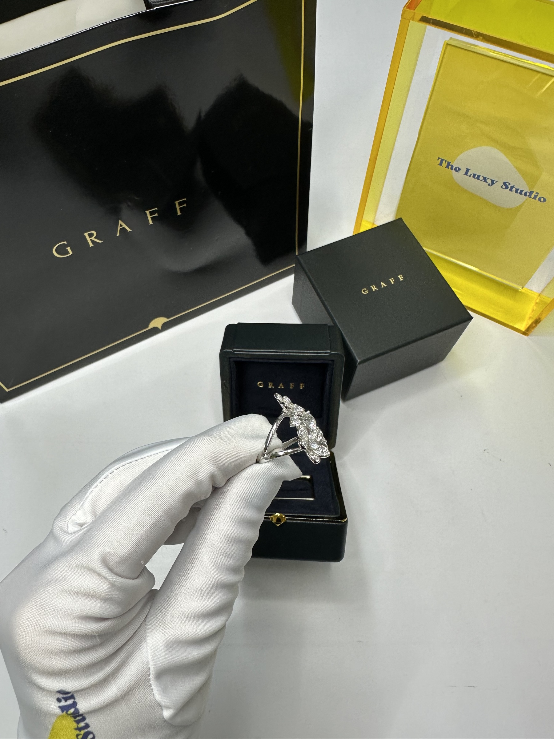 IMG_7733-1723786452192