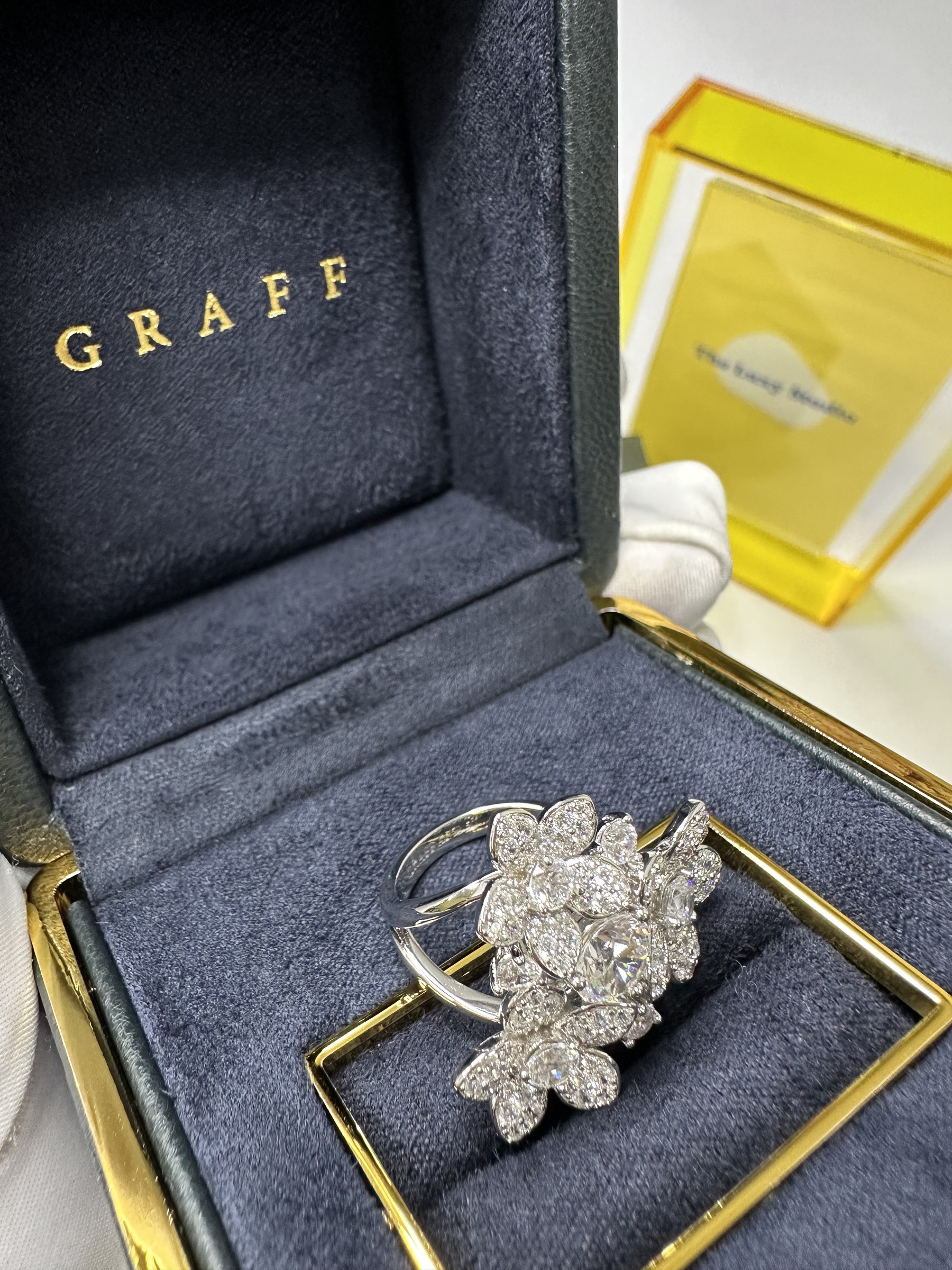 IMG_7725-1723786452329