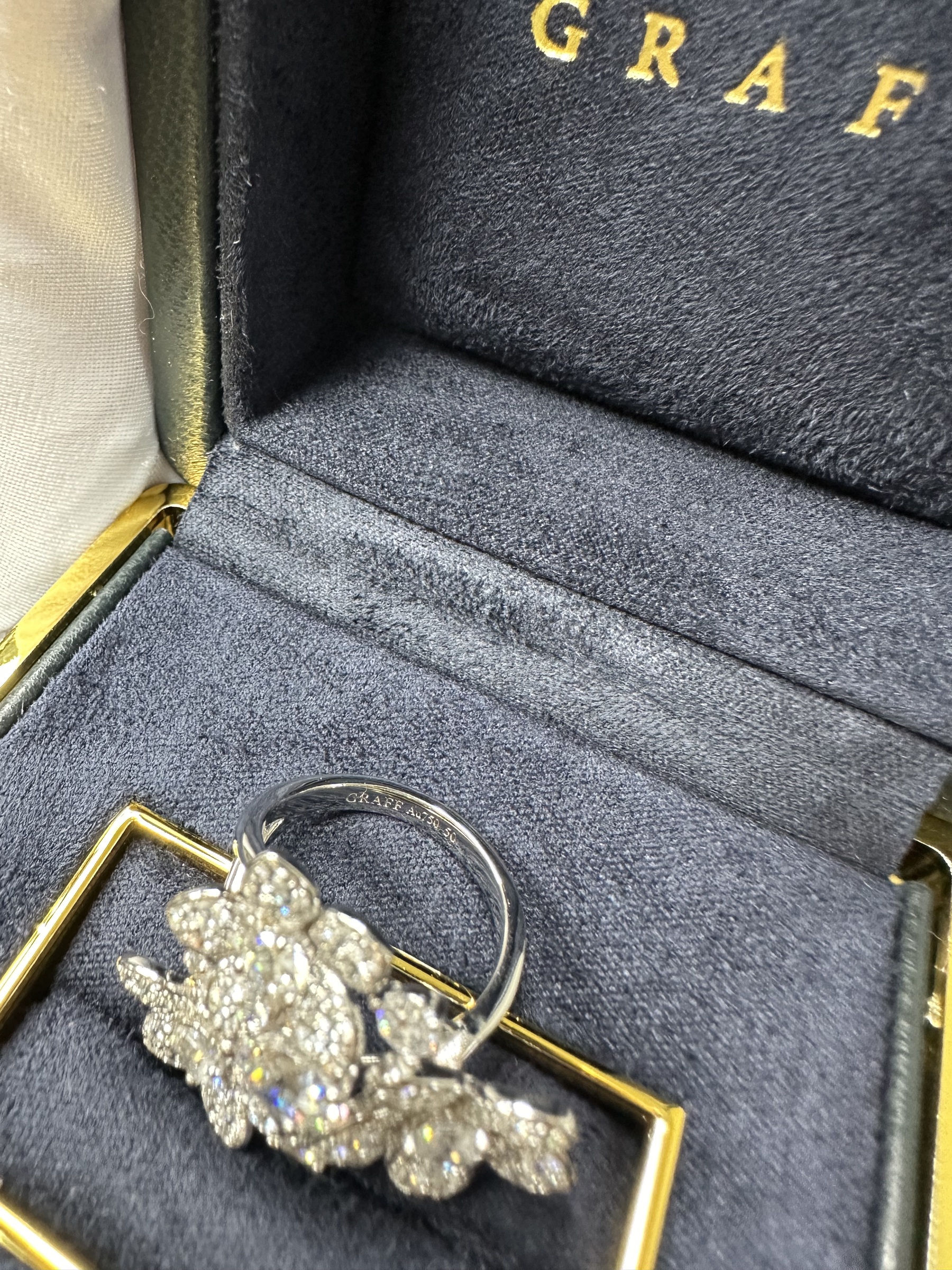 IMG_7727-1723786452466