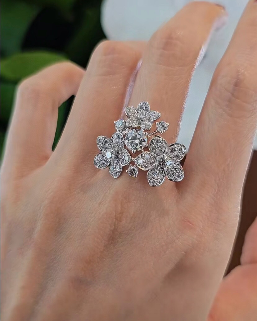 IMG_6965-1723786450569