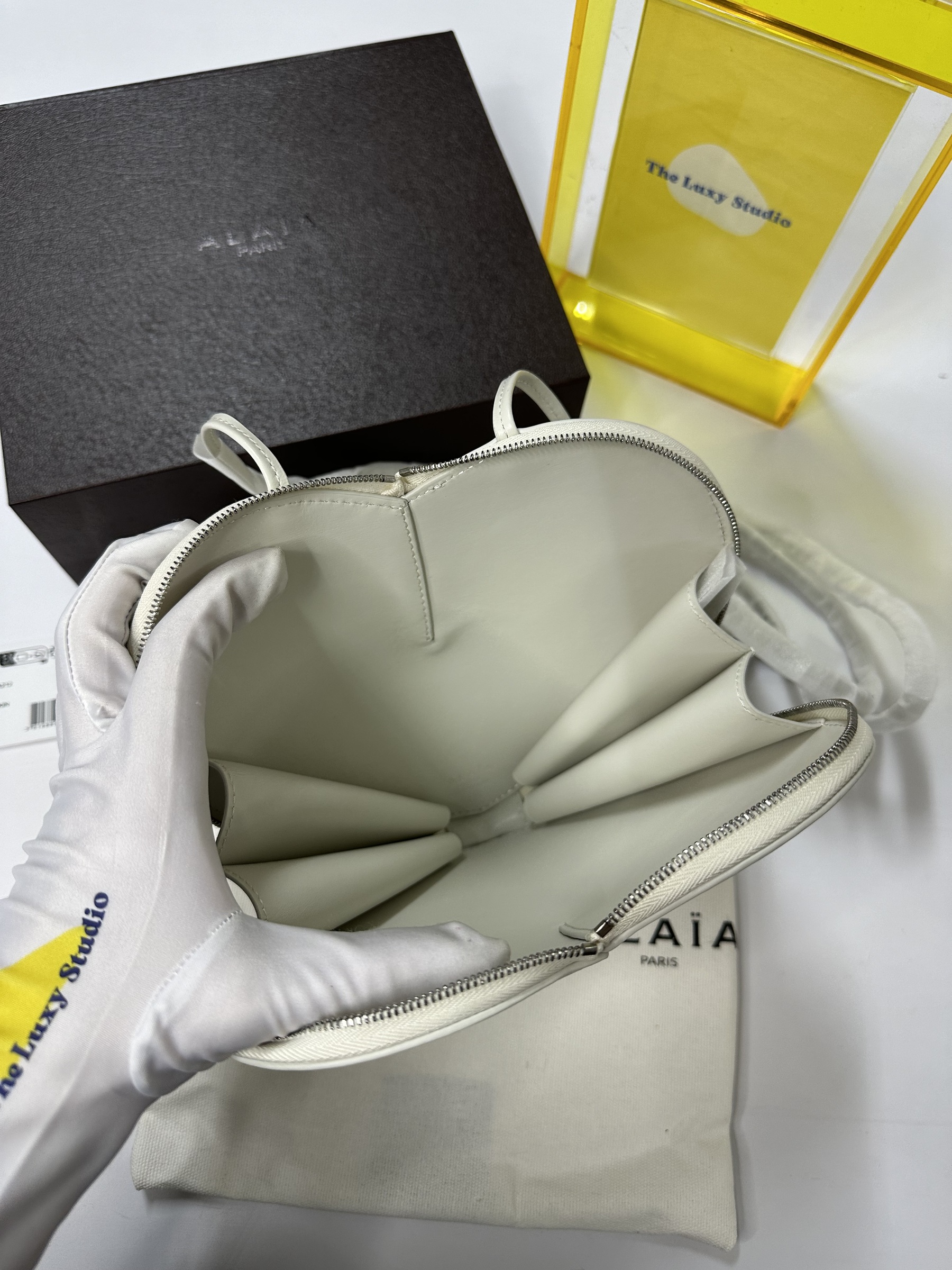 IMG_0486-1728033115426