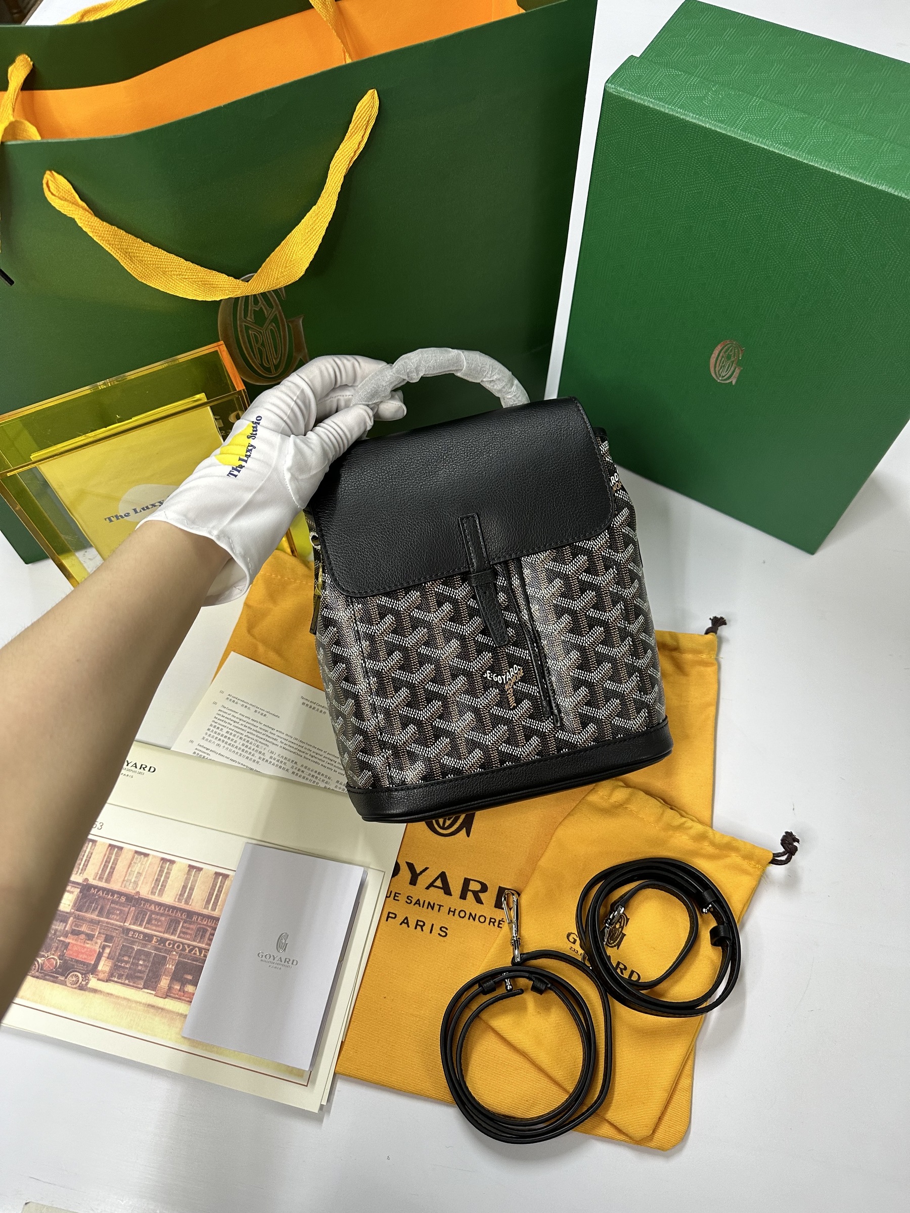 IMG_1154-1729776256952