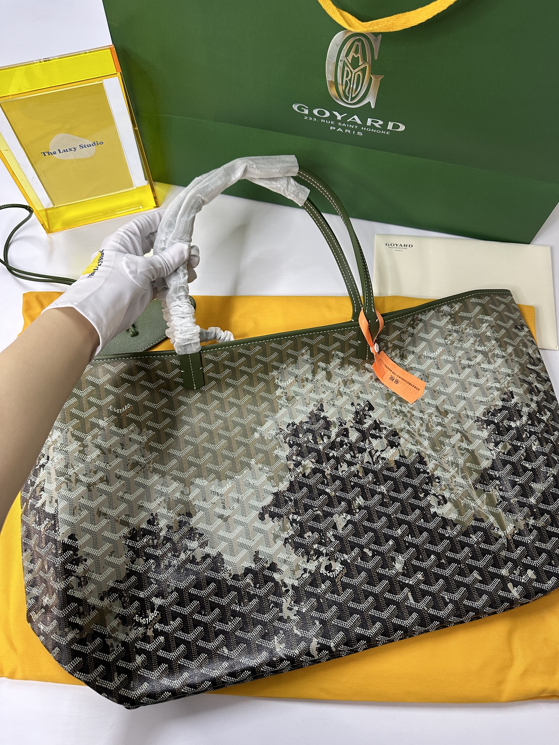 IMG_1501-1729777251189