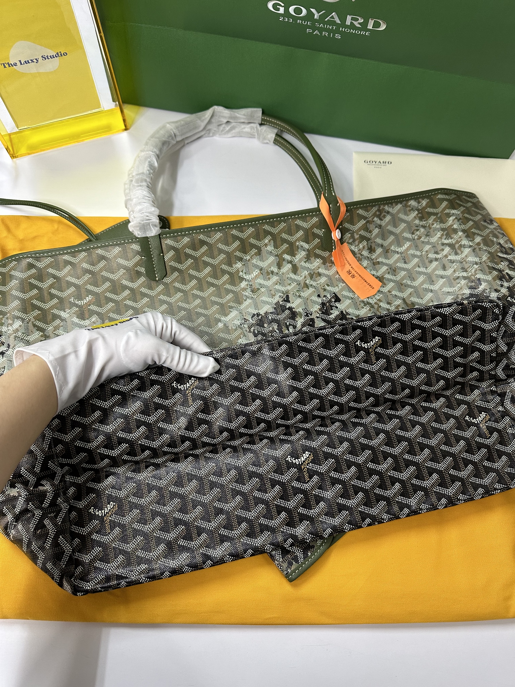 IMG_1502-1729777251303