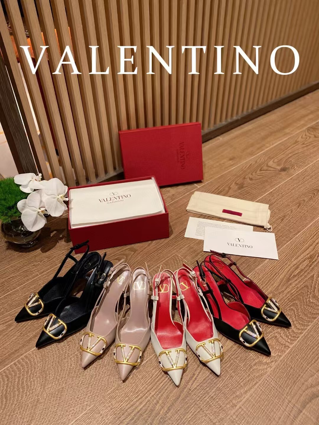 IMG_7831-1730205875066