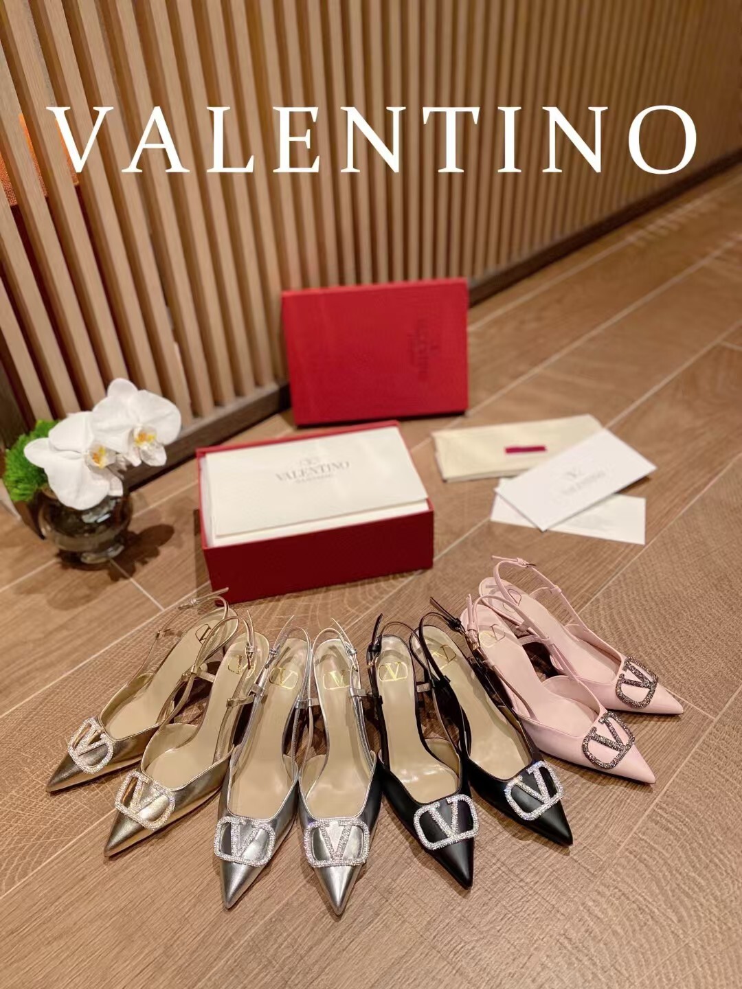 IMG_7832-1730205875070