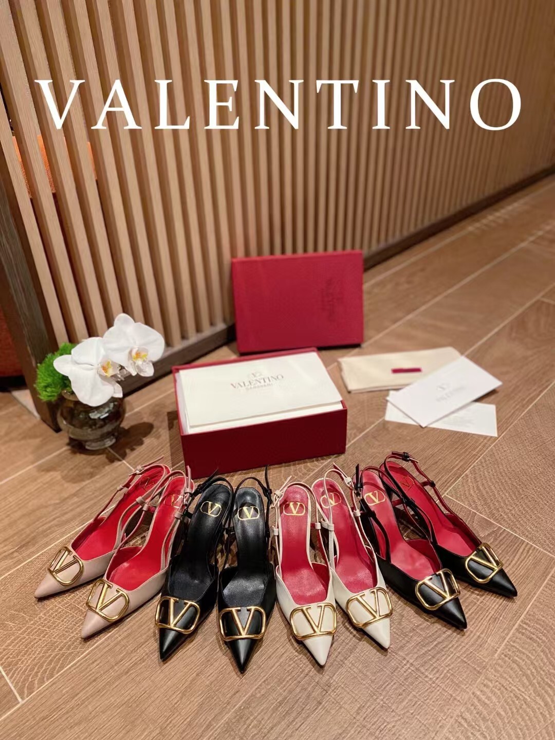 IMG_7833-1730205875071