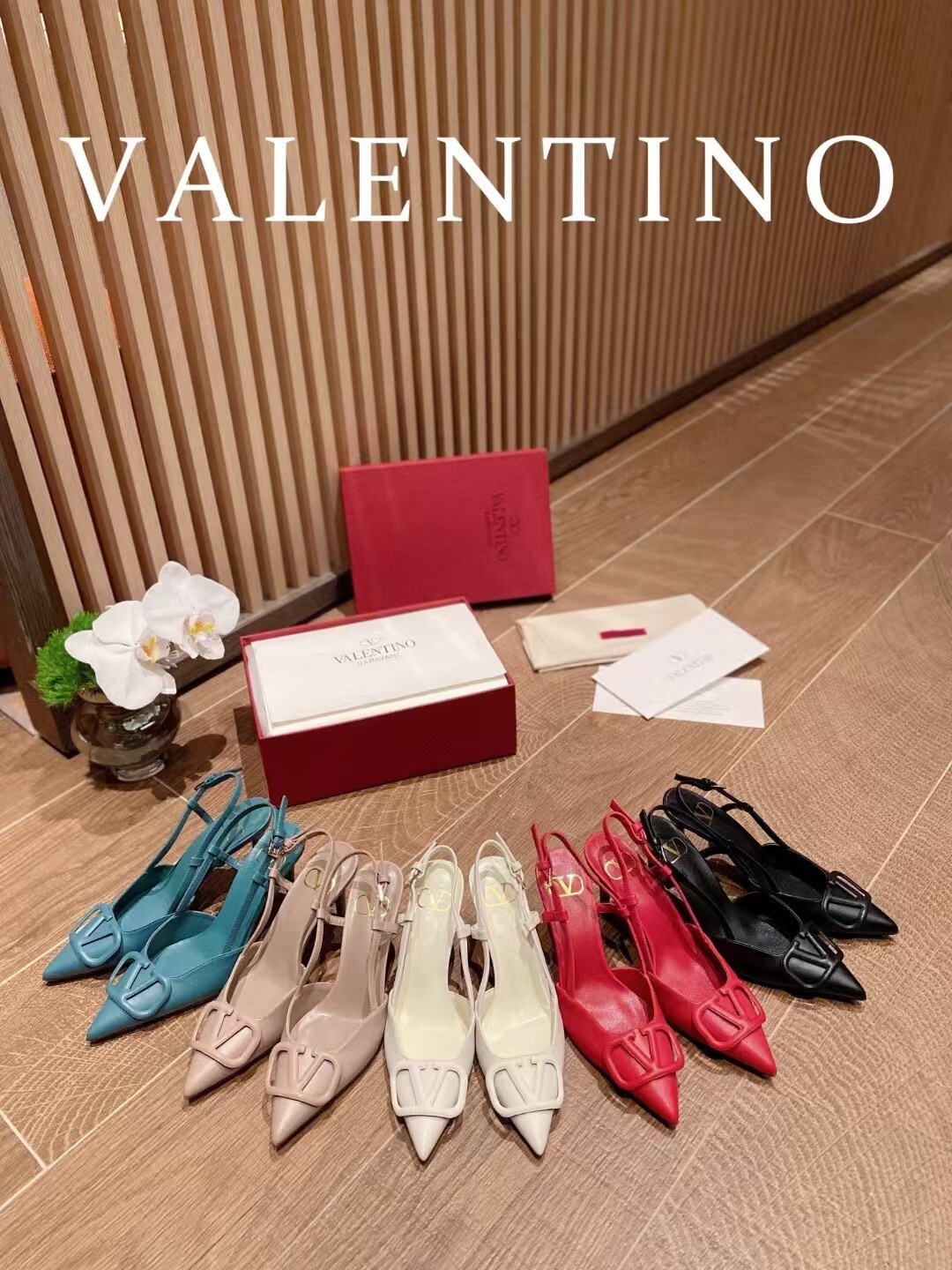 IMG_7834-1730205875074