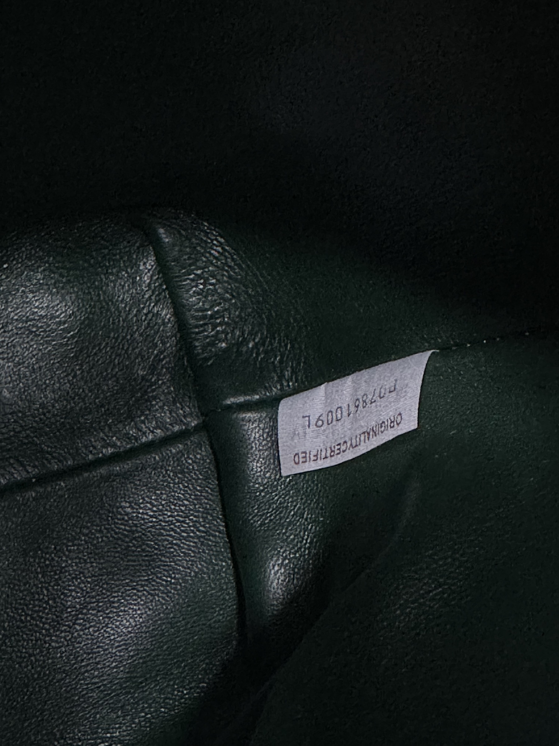 IMG_1561-1731654848121