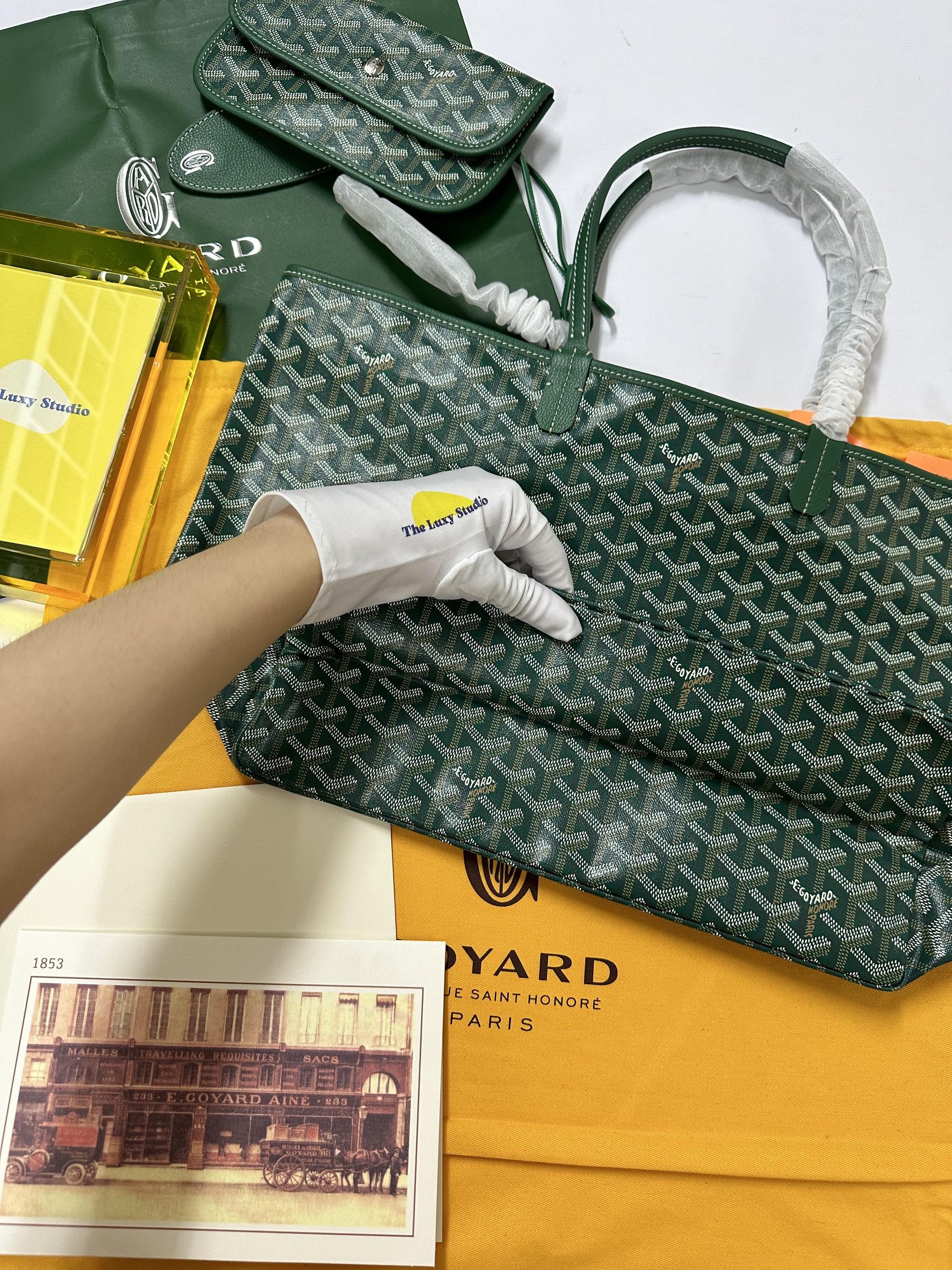 IMG_2409-1734102098372