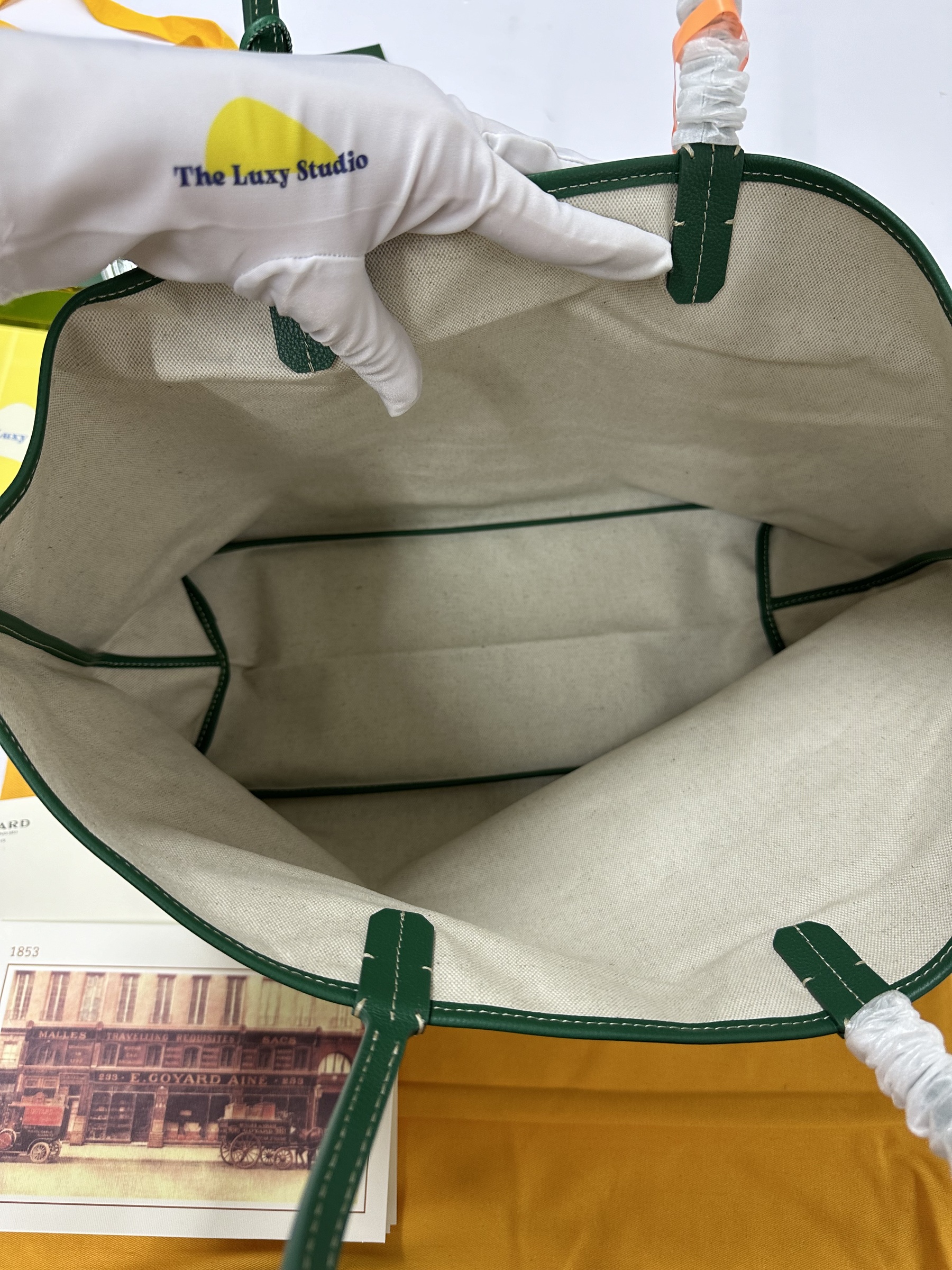 IMG_2410-1734102098002