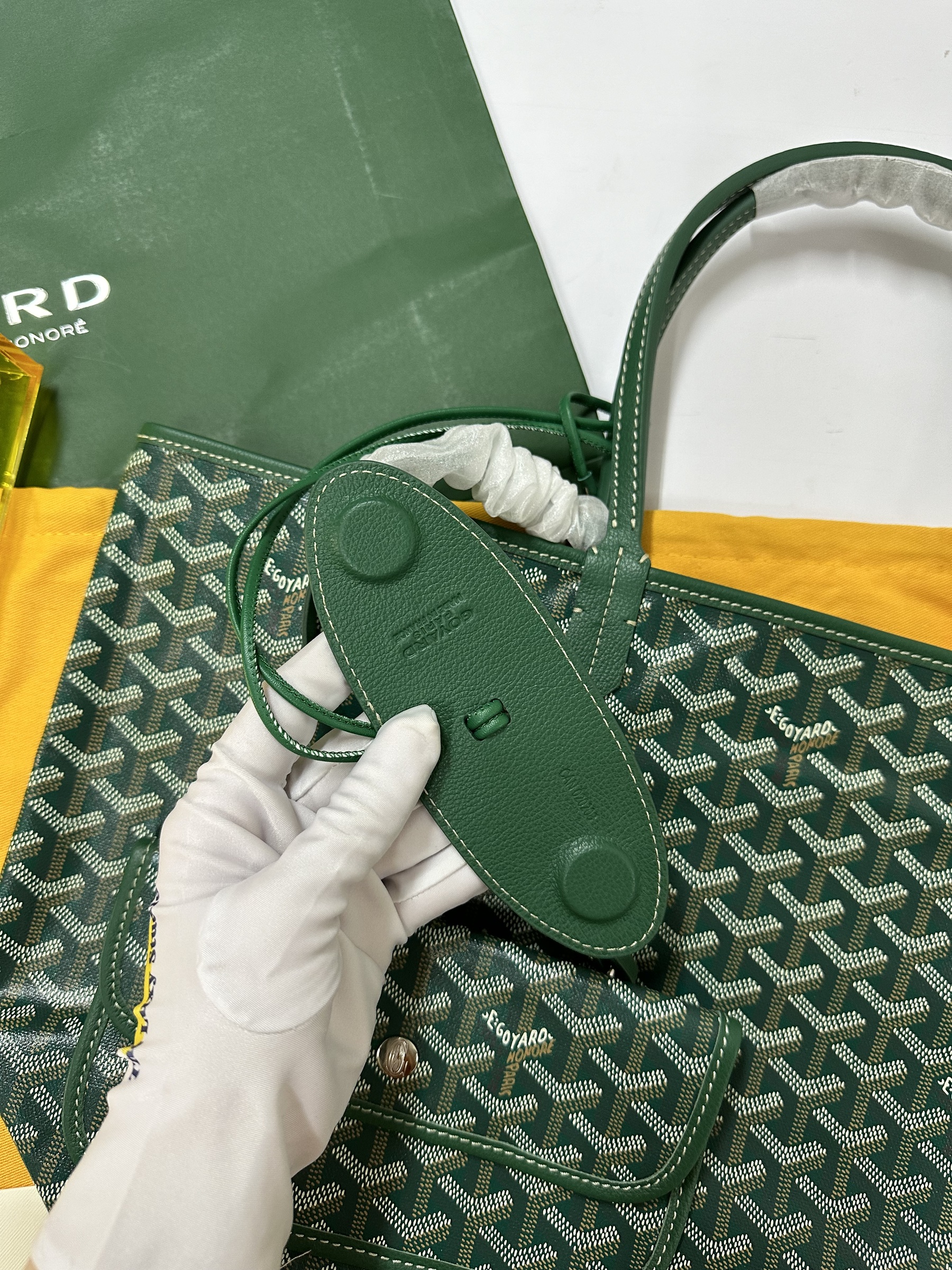 IMG_2406-1734102098550