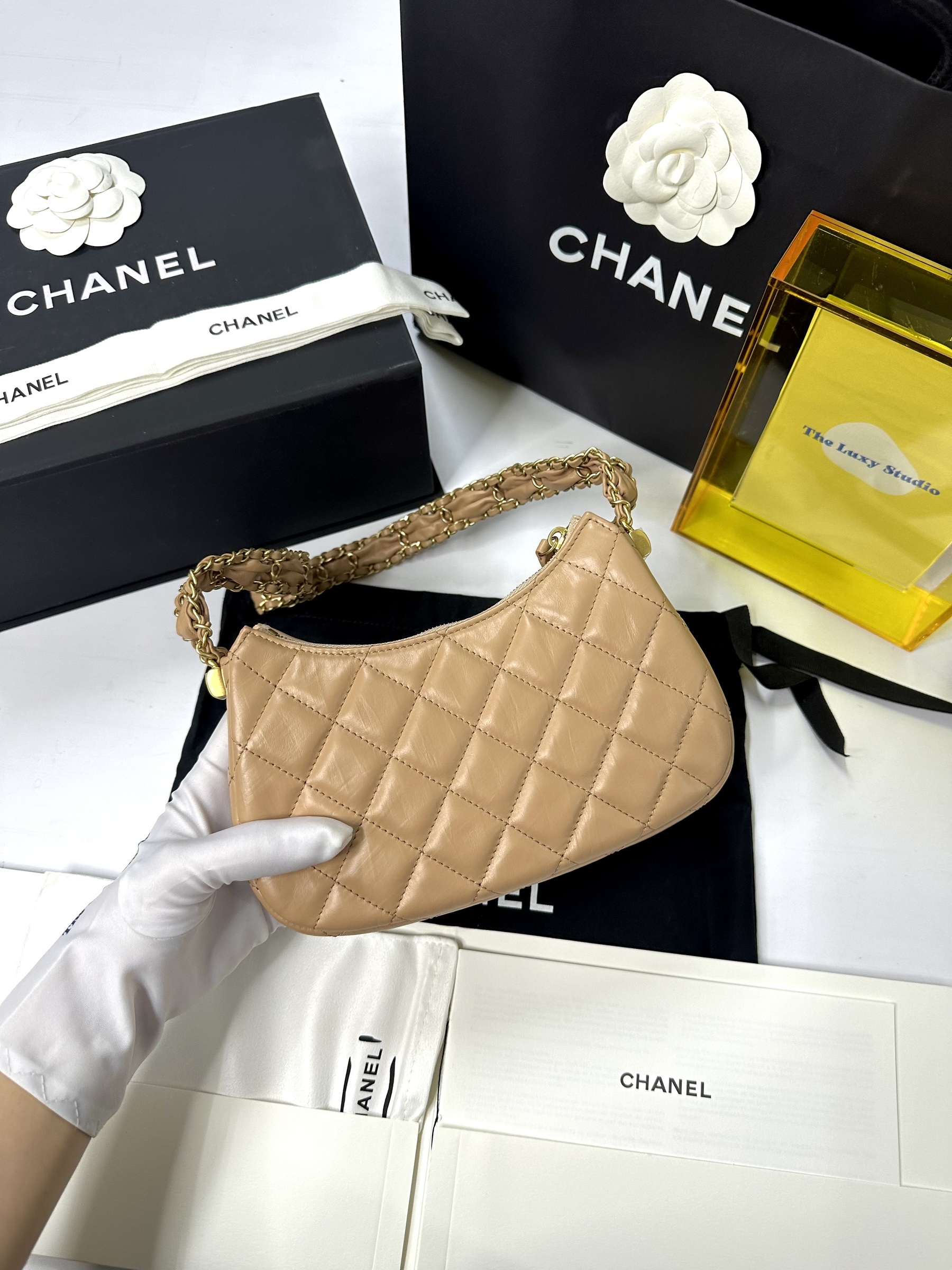 IMG_3009-1734161295154