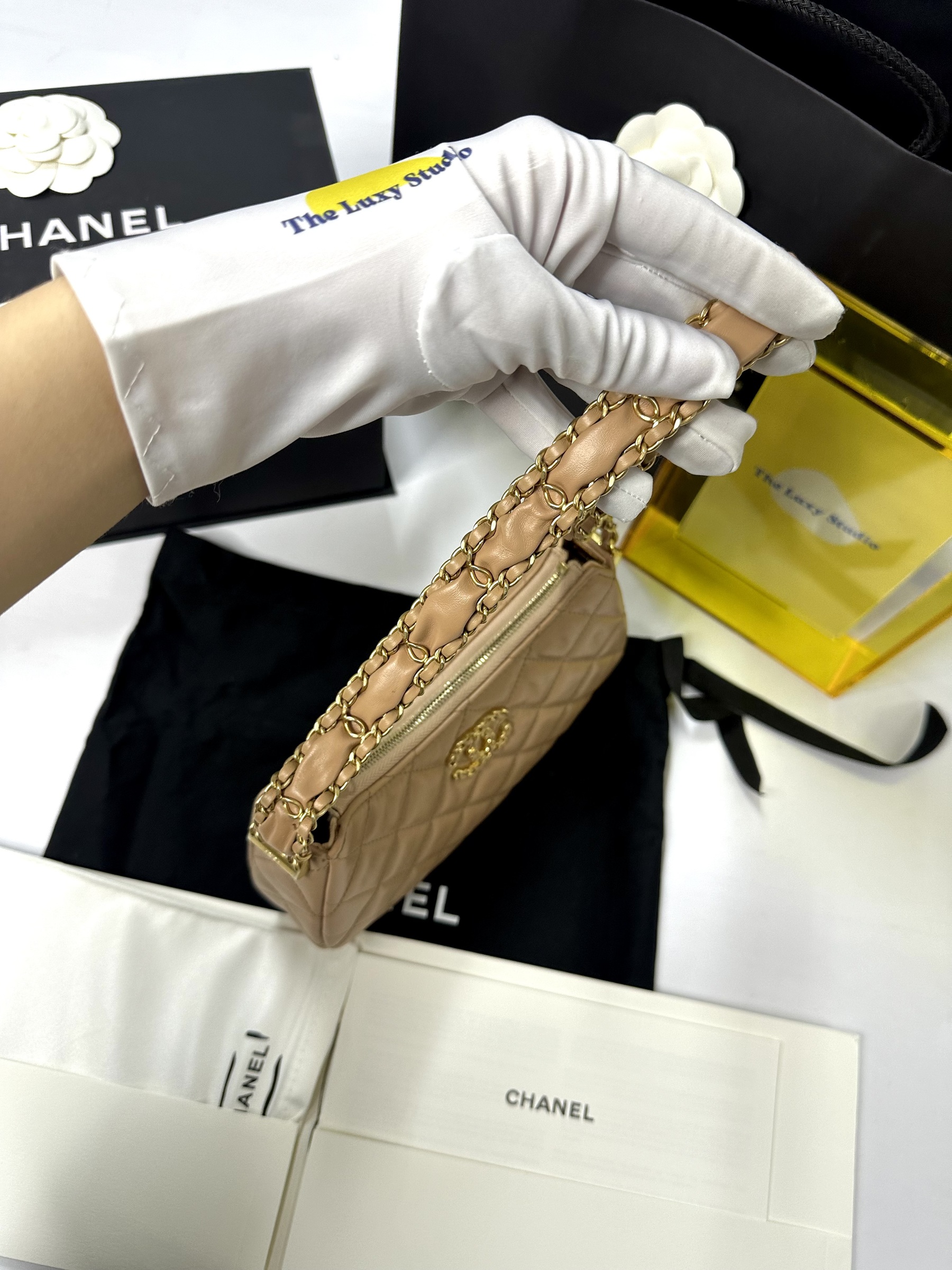 IMG_3007-1734161295695