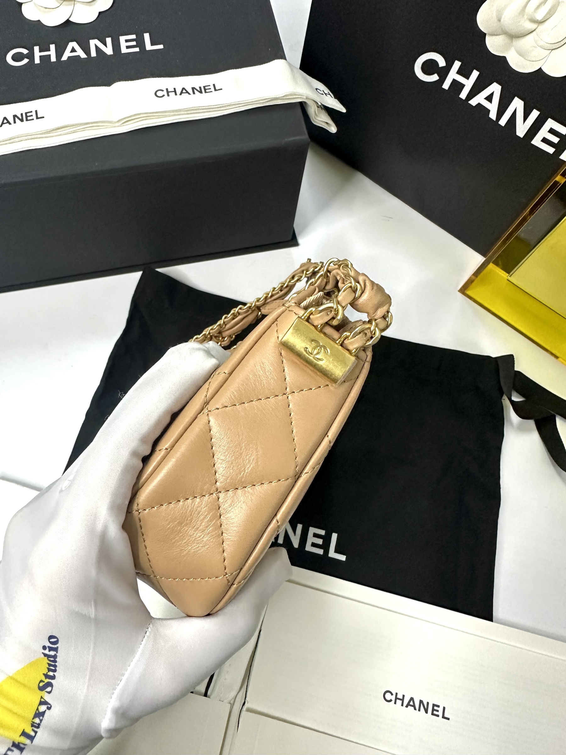 IMG_3010-1734161295794