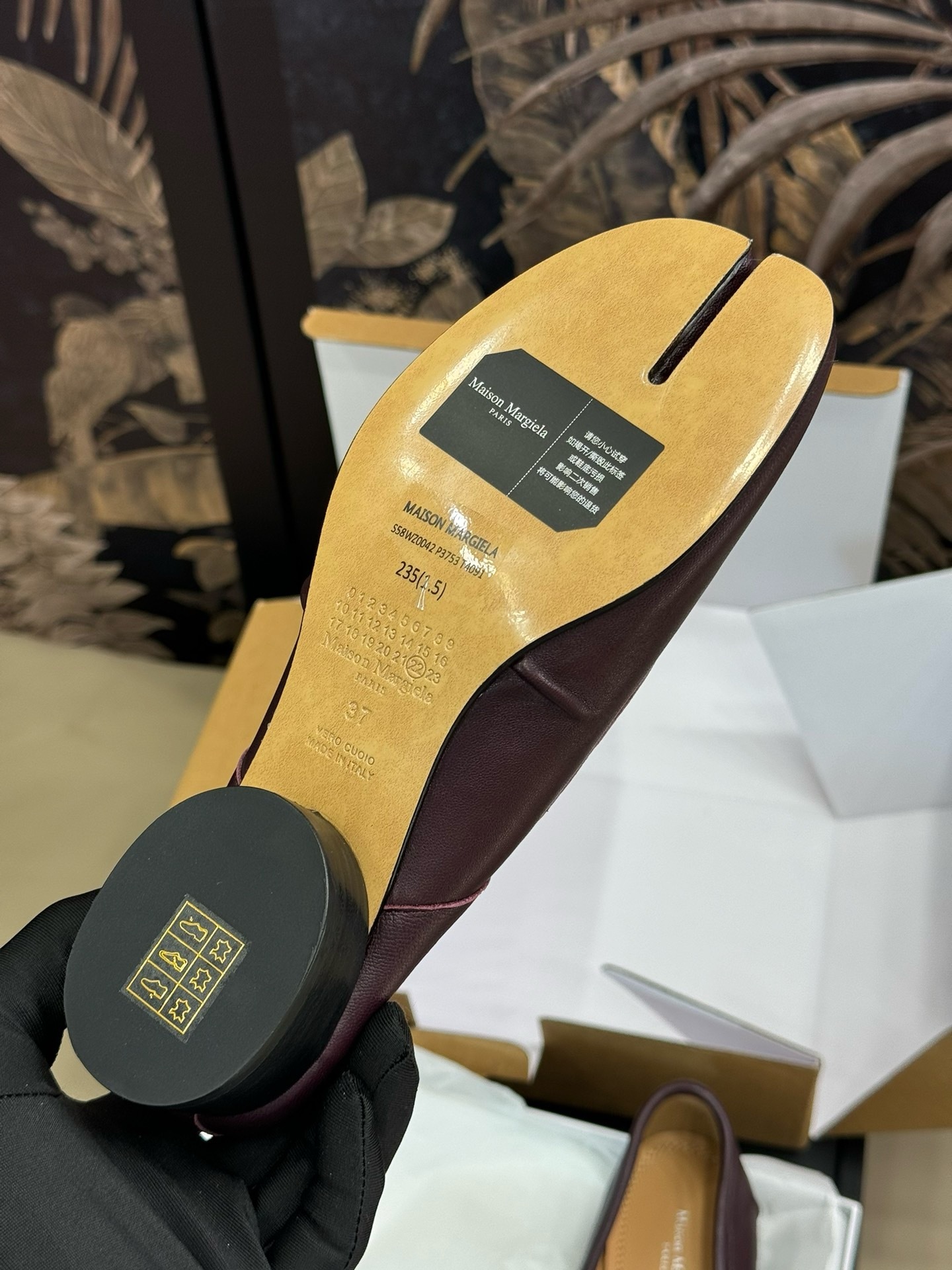 IMG_1269-1735267540474