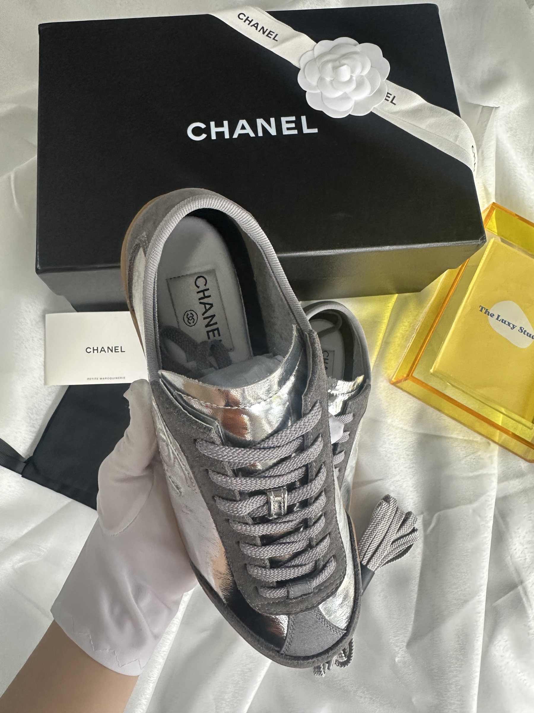 IMG_5908-1736317089485