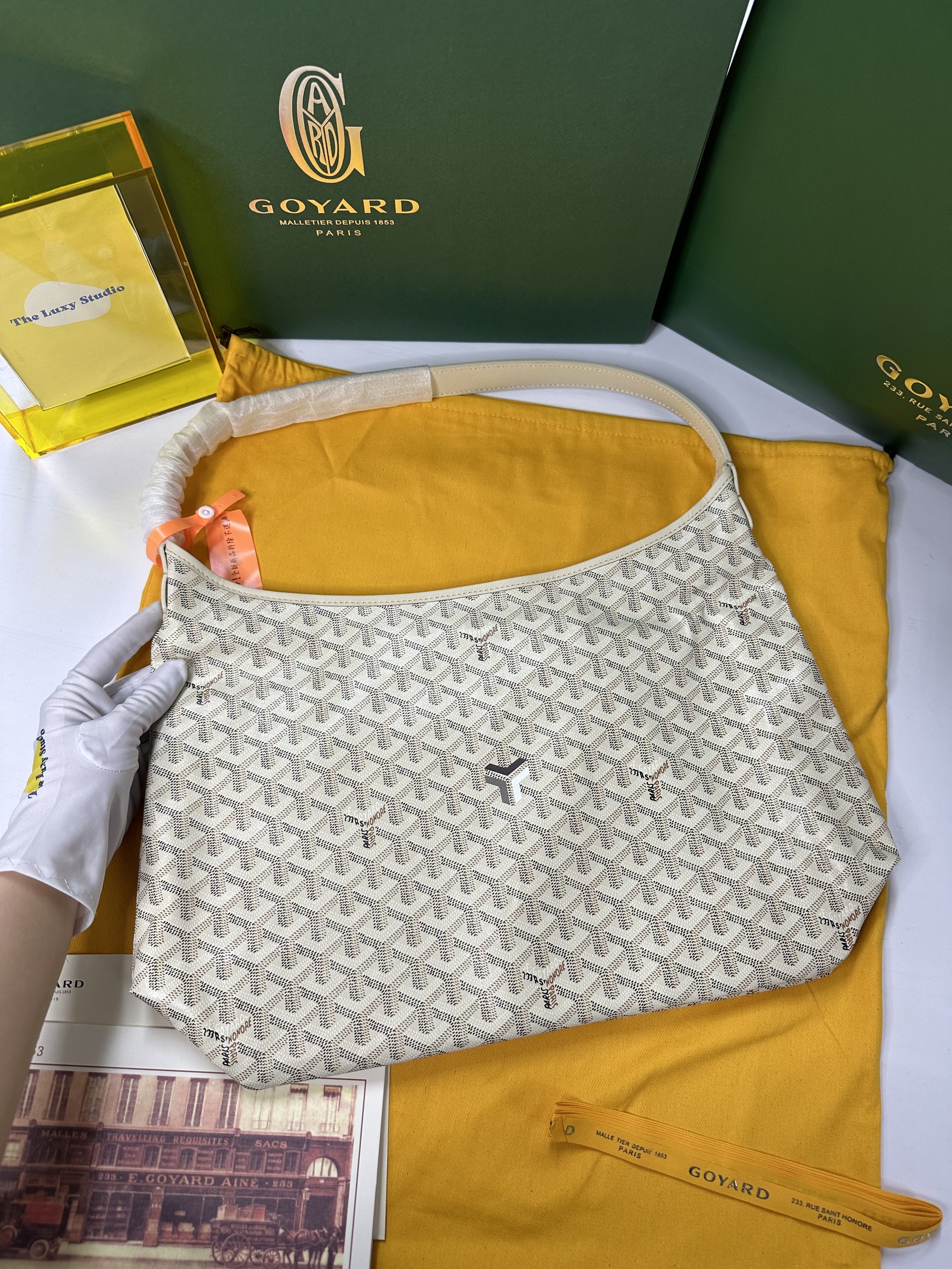 IMG_3069-1736922221917