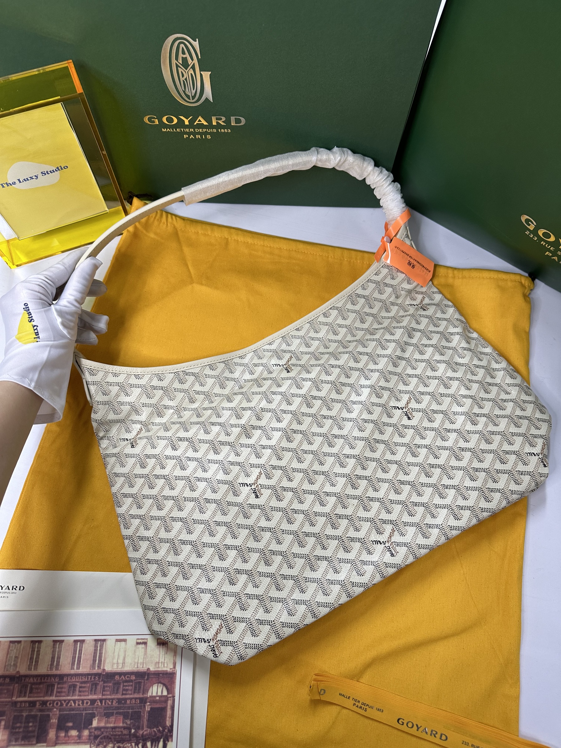 IMG_3072-1736922222185