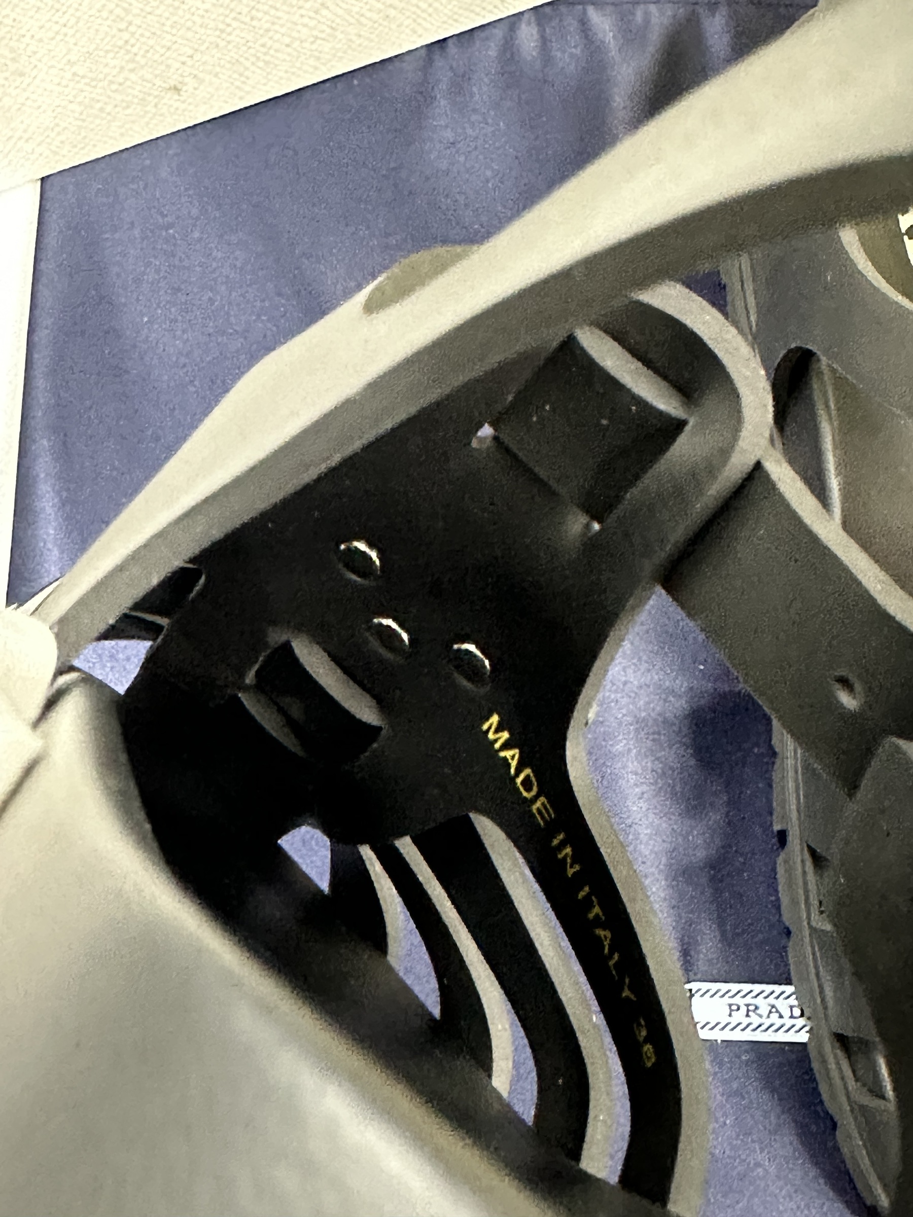 IMG_5333-1737642665178