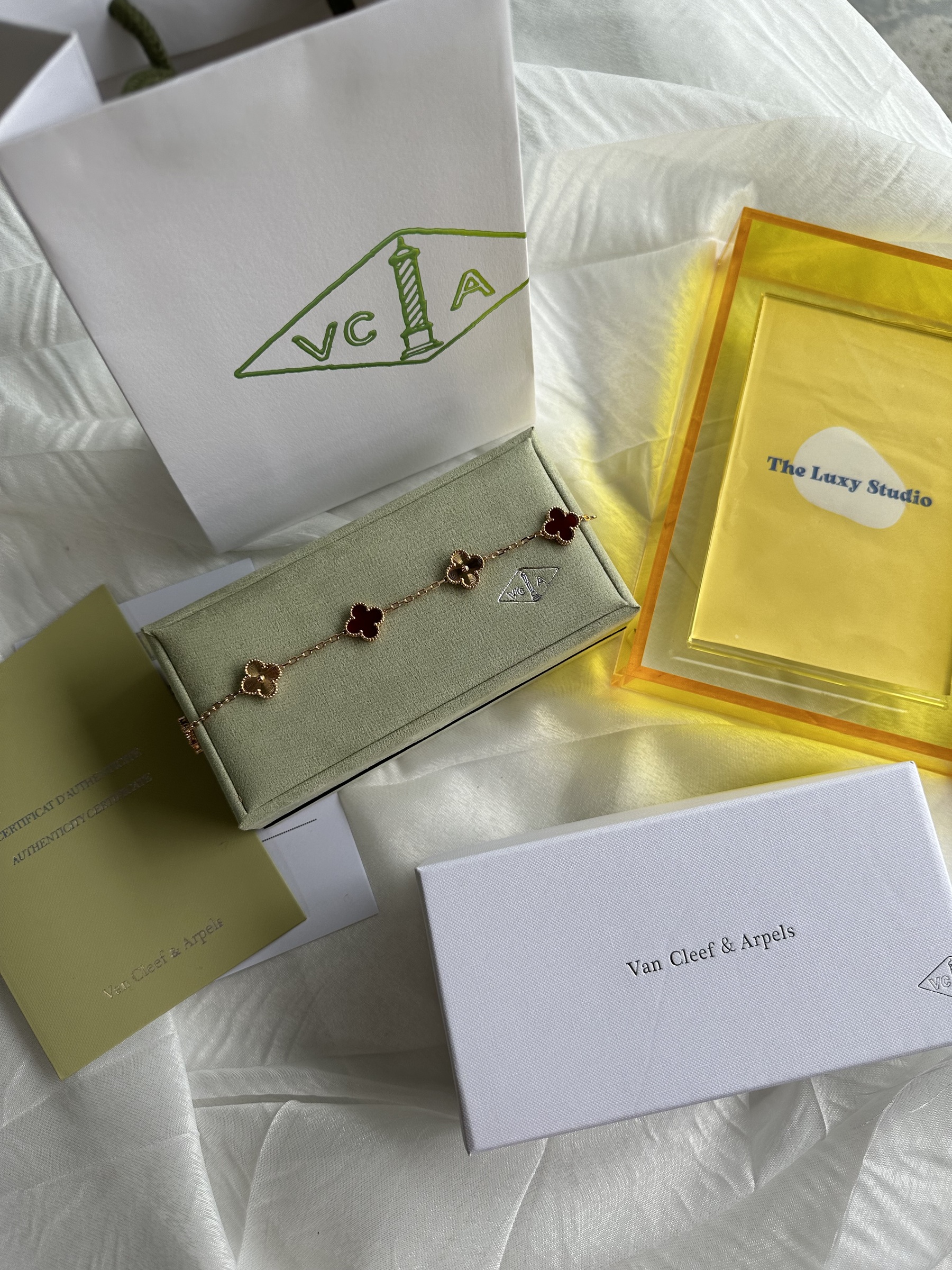 IMG_5465-1737644684852