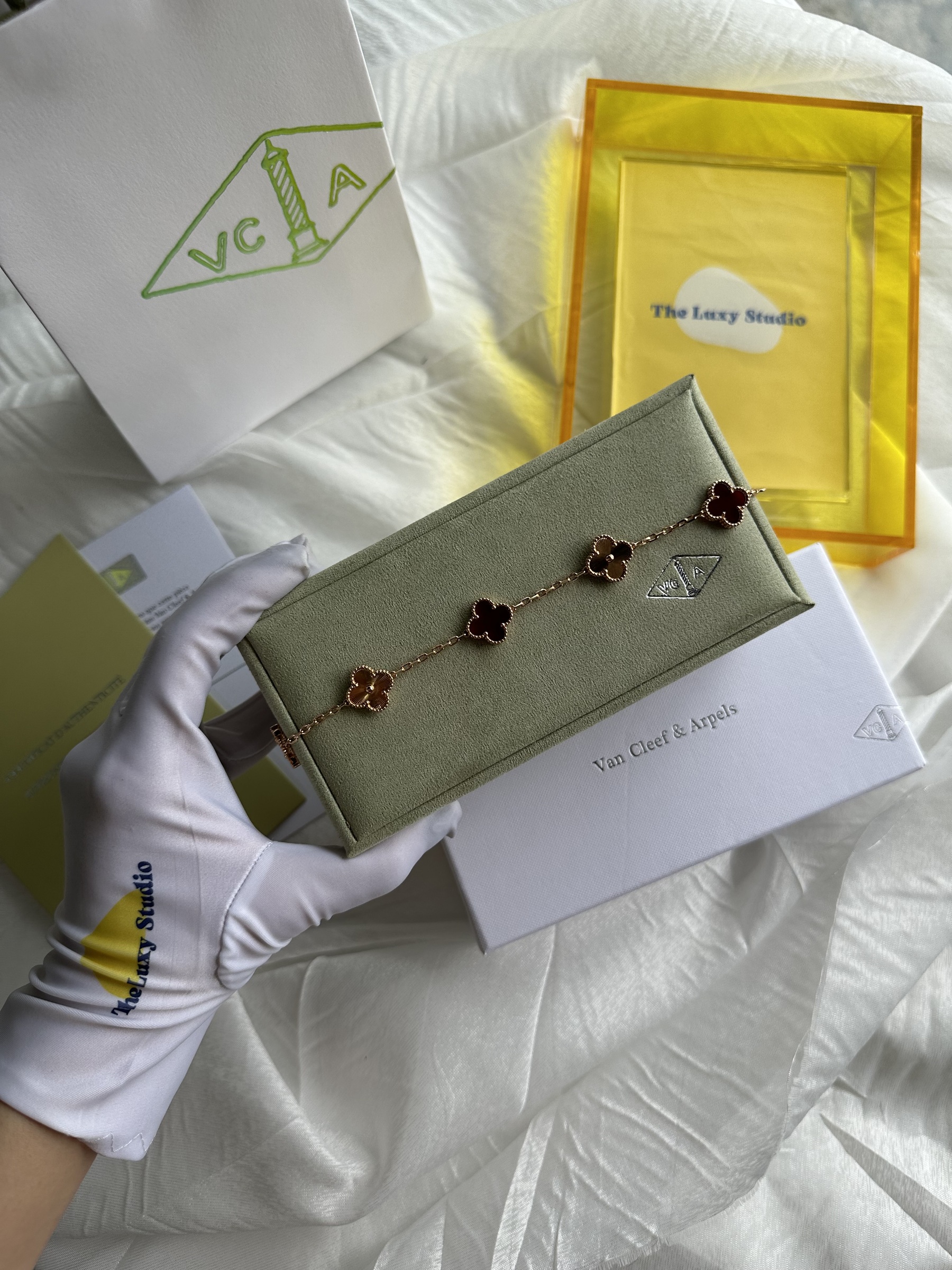 IMG_5466-1737644684768