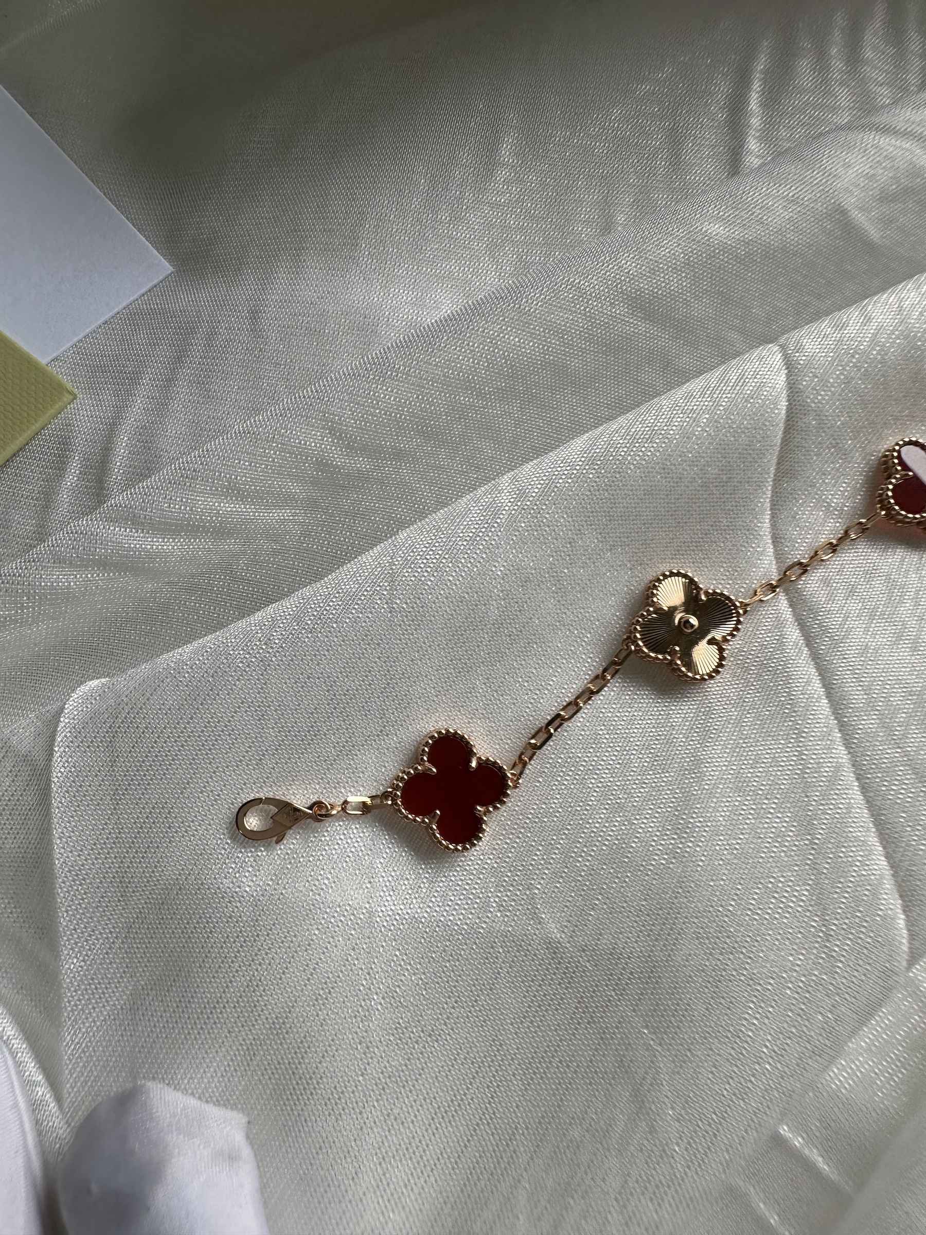 IMG_5459-1737644684947