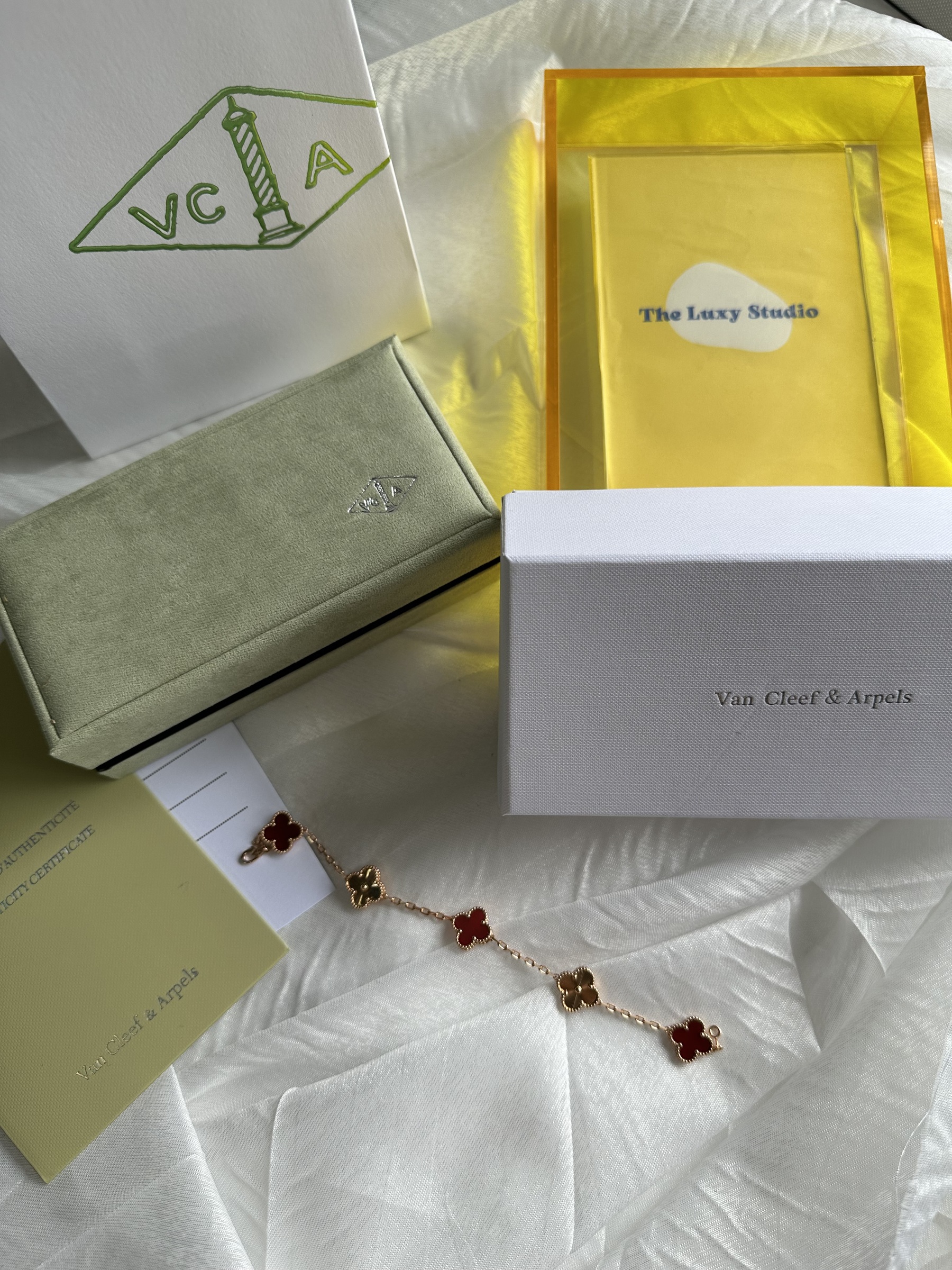 IMG_5458-1737644685031