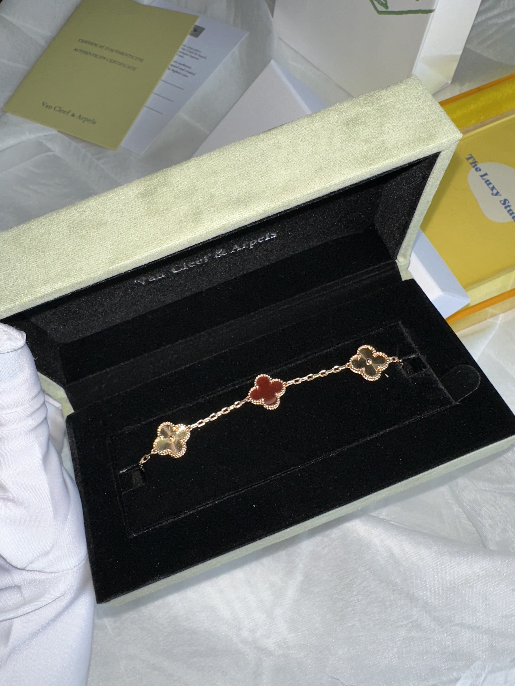 IMG_5456-1737644685165