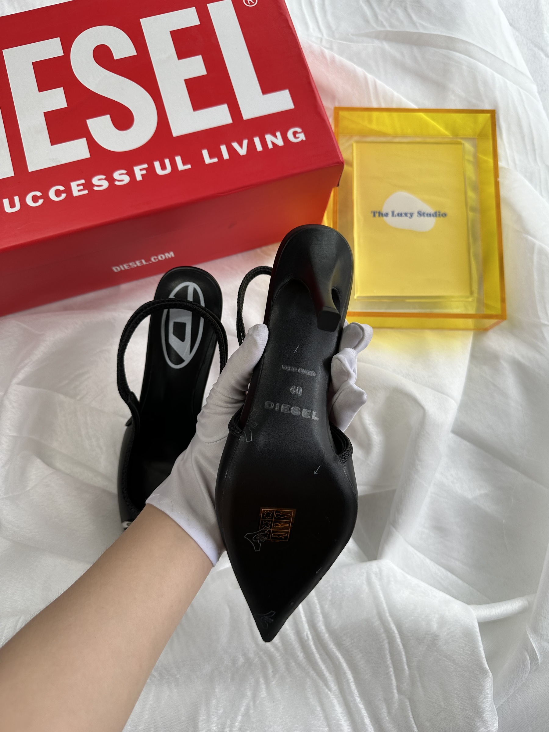 IMG_5501-1737645173271