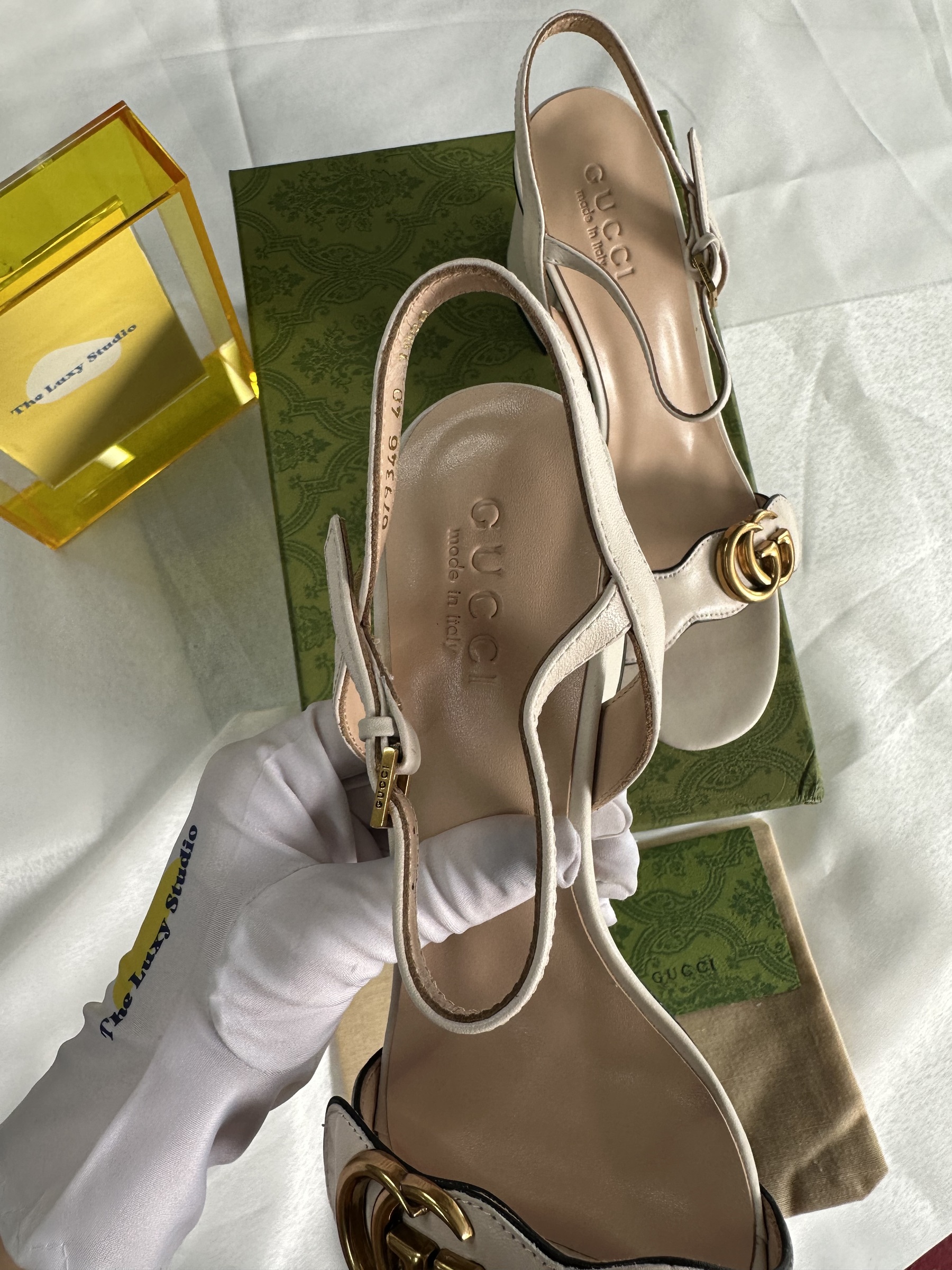 IMG_5924-1739887347966