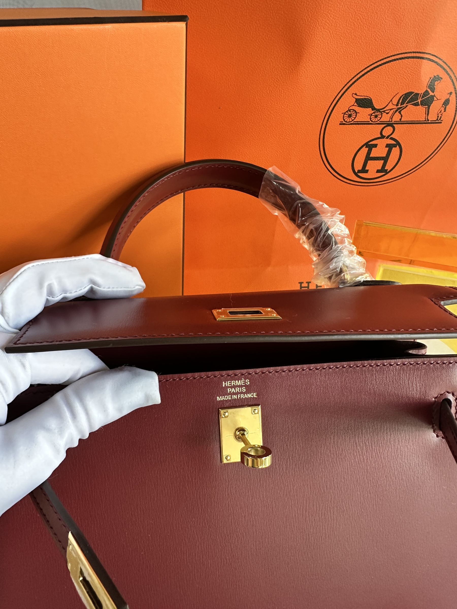 IMG_7288-1740664080744