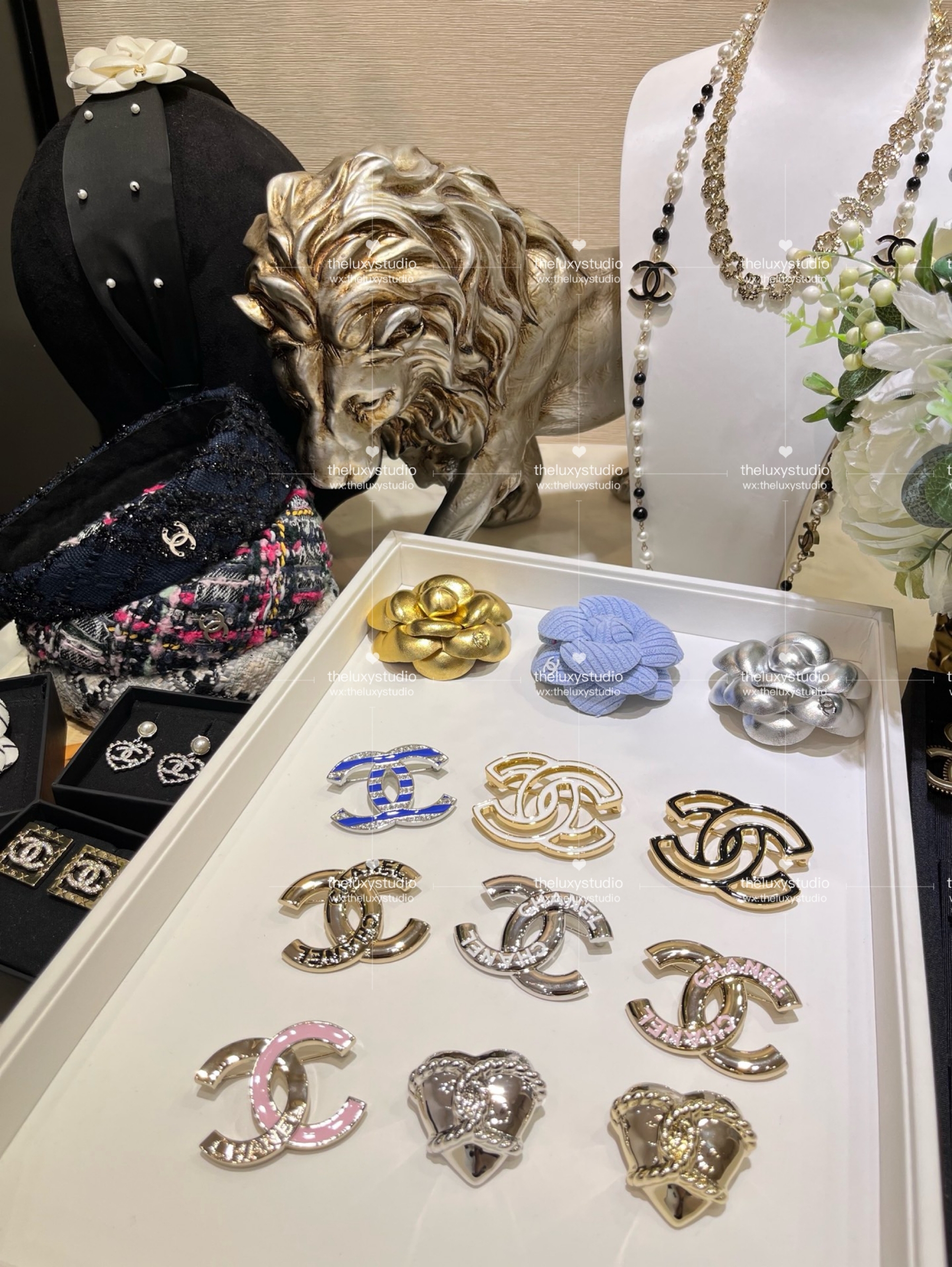 IMG_4910-1741267484147