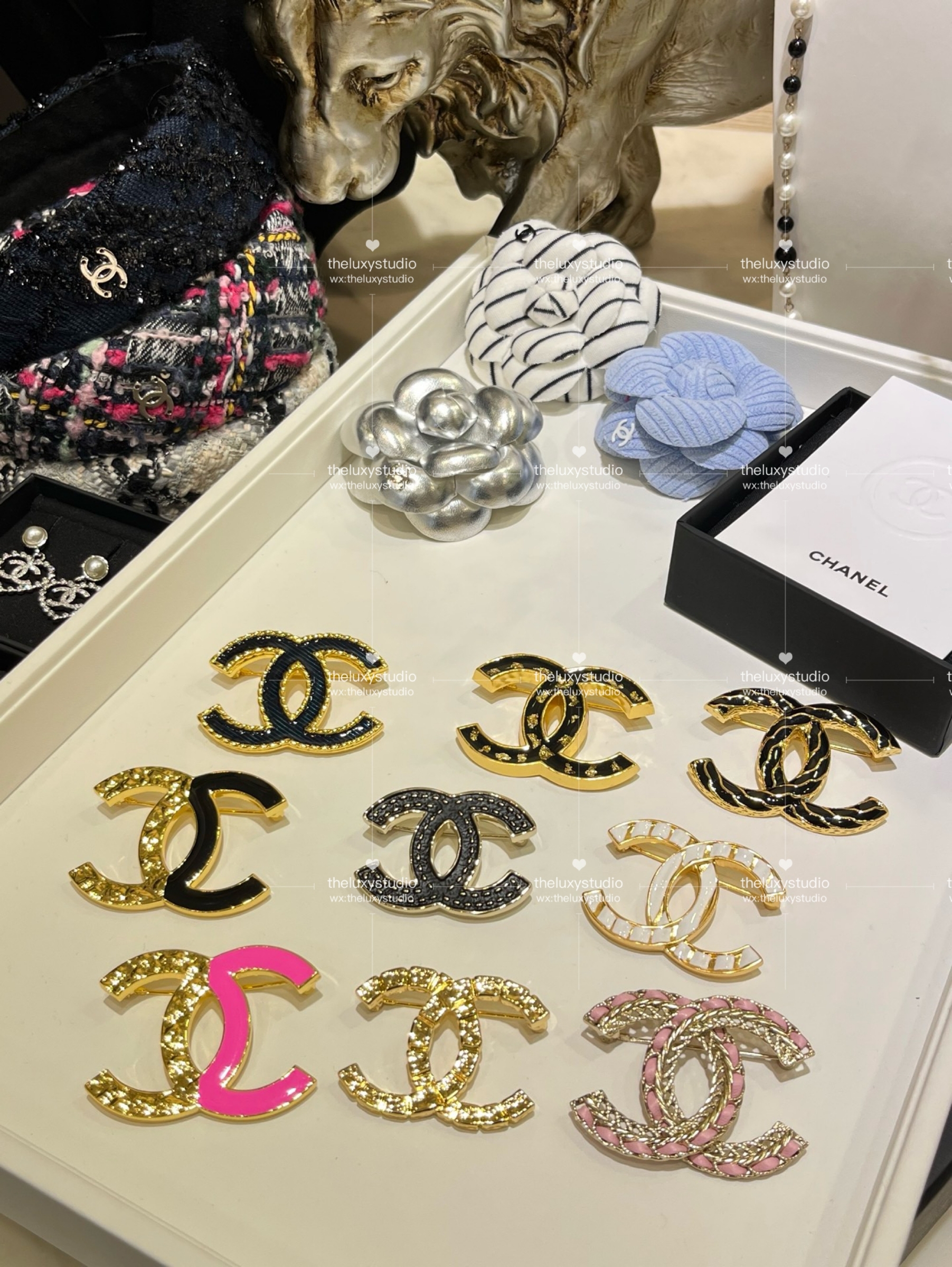 IMG_4912-1741267484150