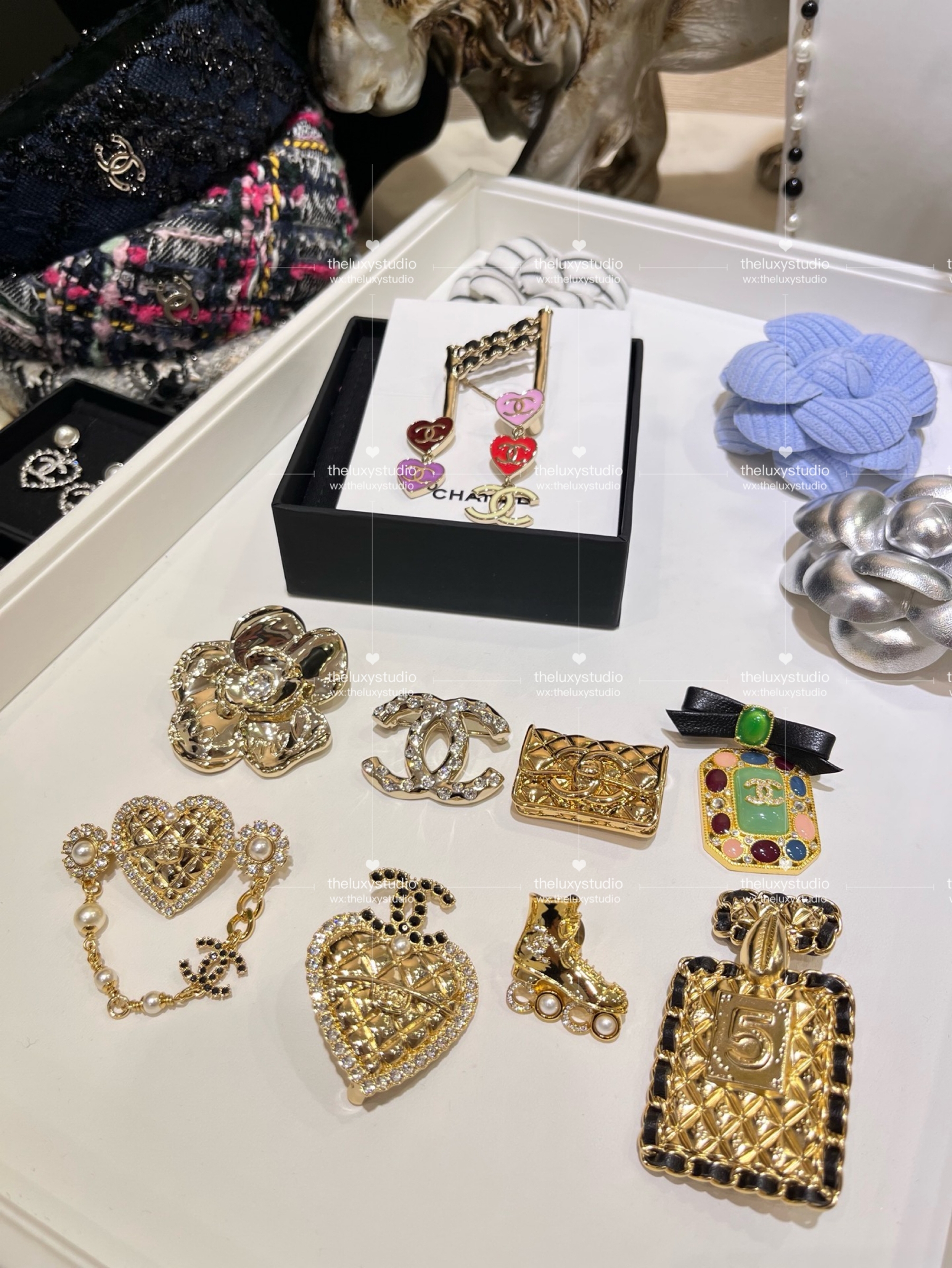 IMG_4913-1741267484165