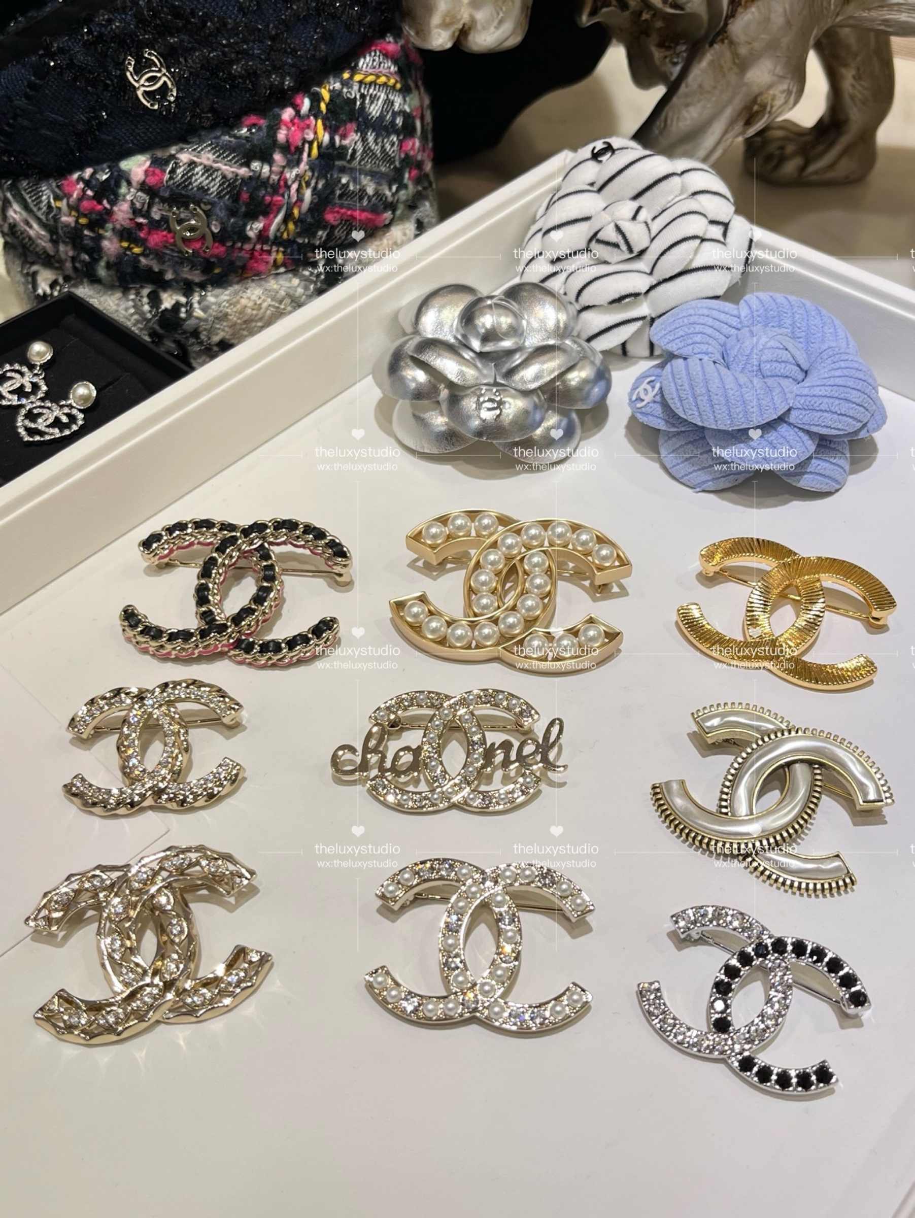 IMG_4914-1741267484162