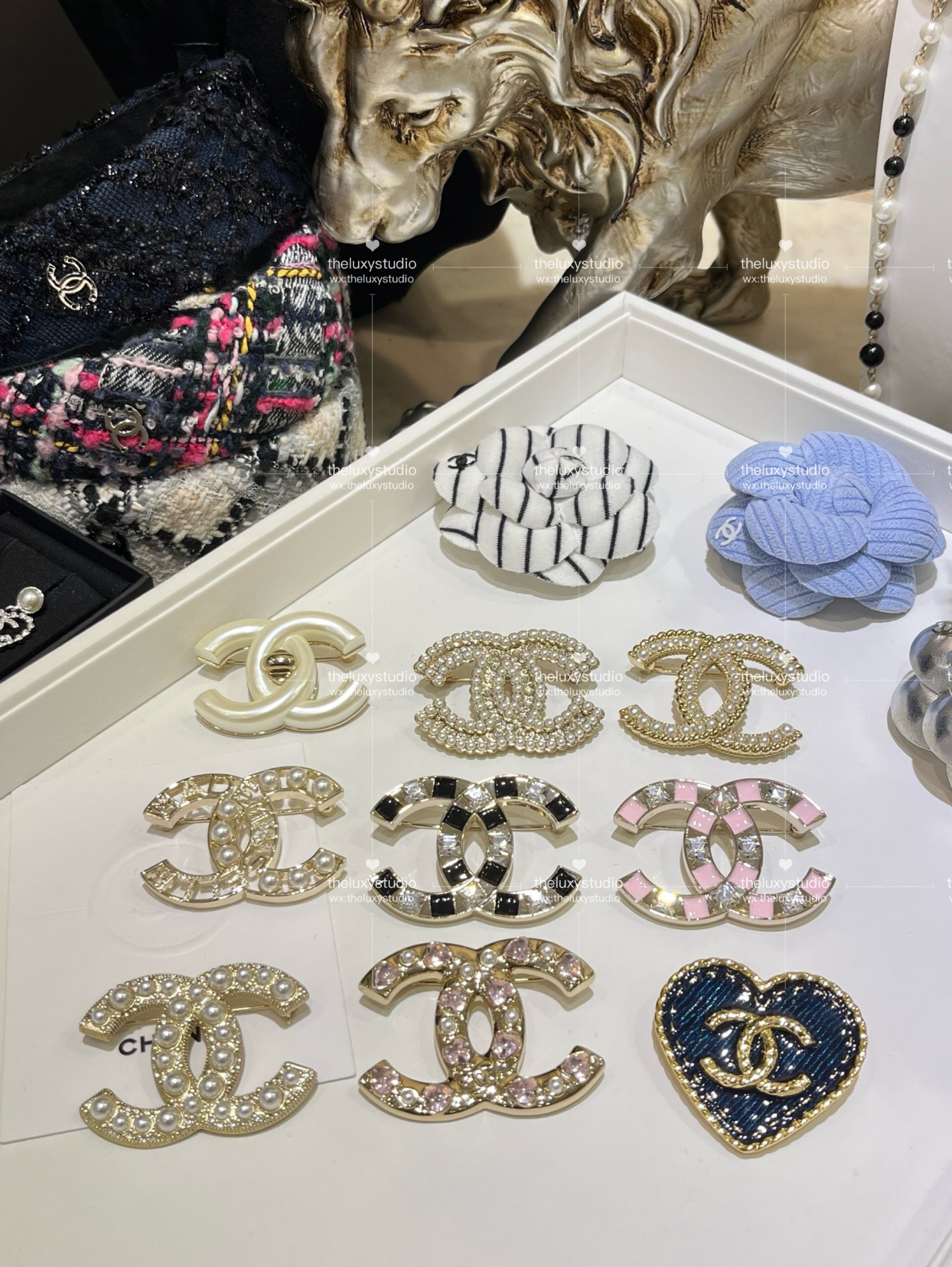 IMG_4920-1741267484184