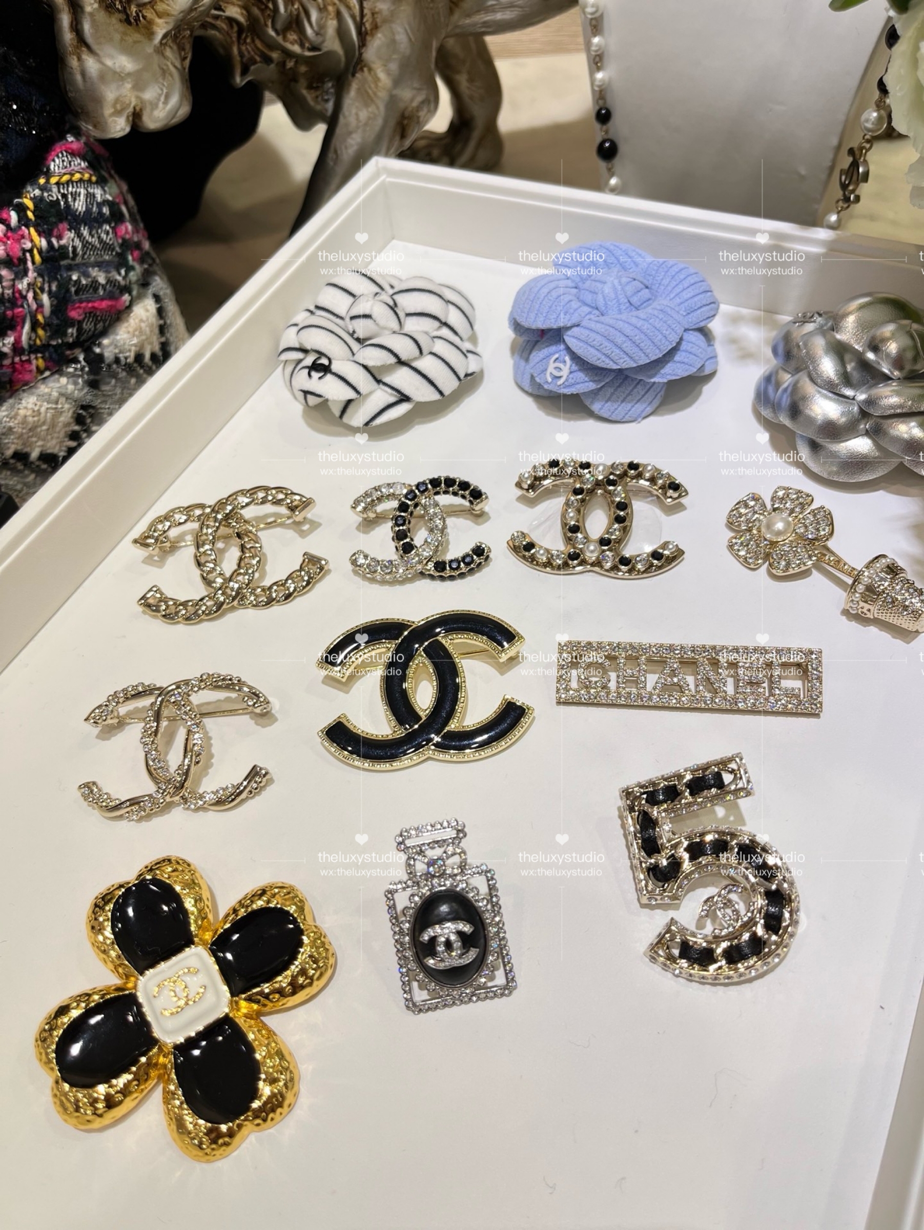 IMG_4924-1741267484200