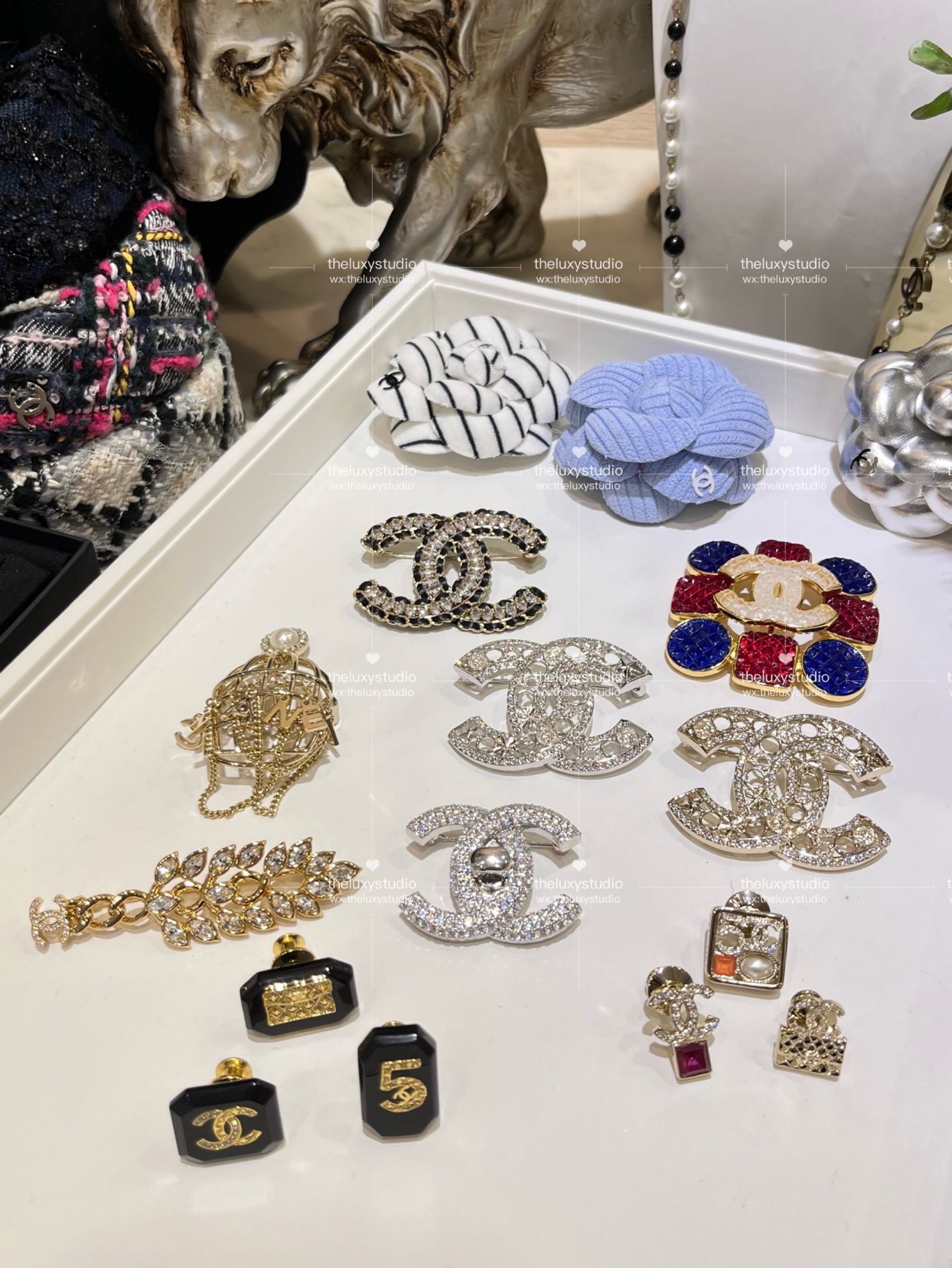 IMG_4926-1741267484206