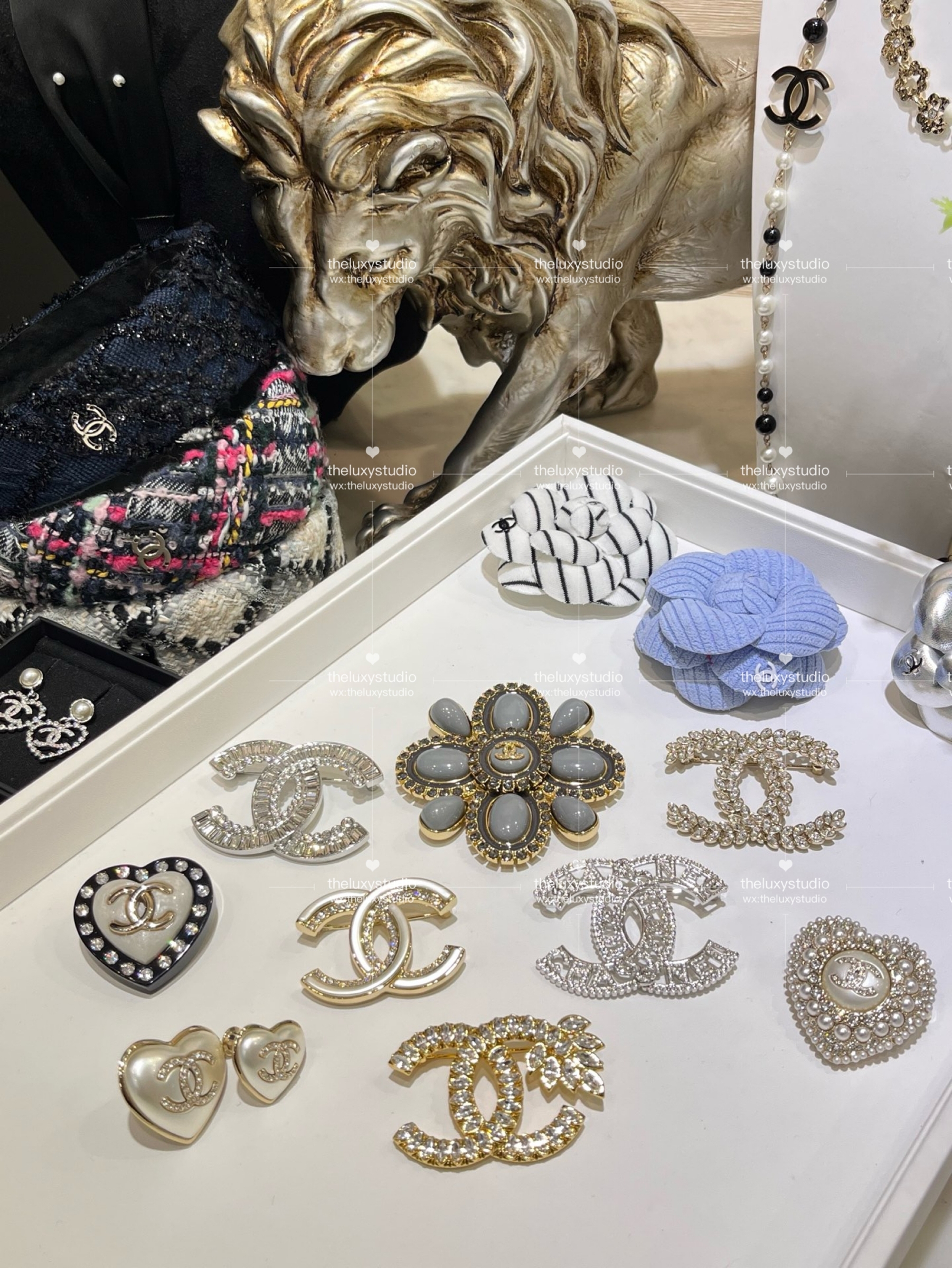 IMG_4927-1741267484210