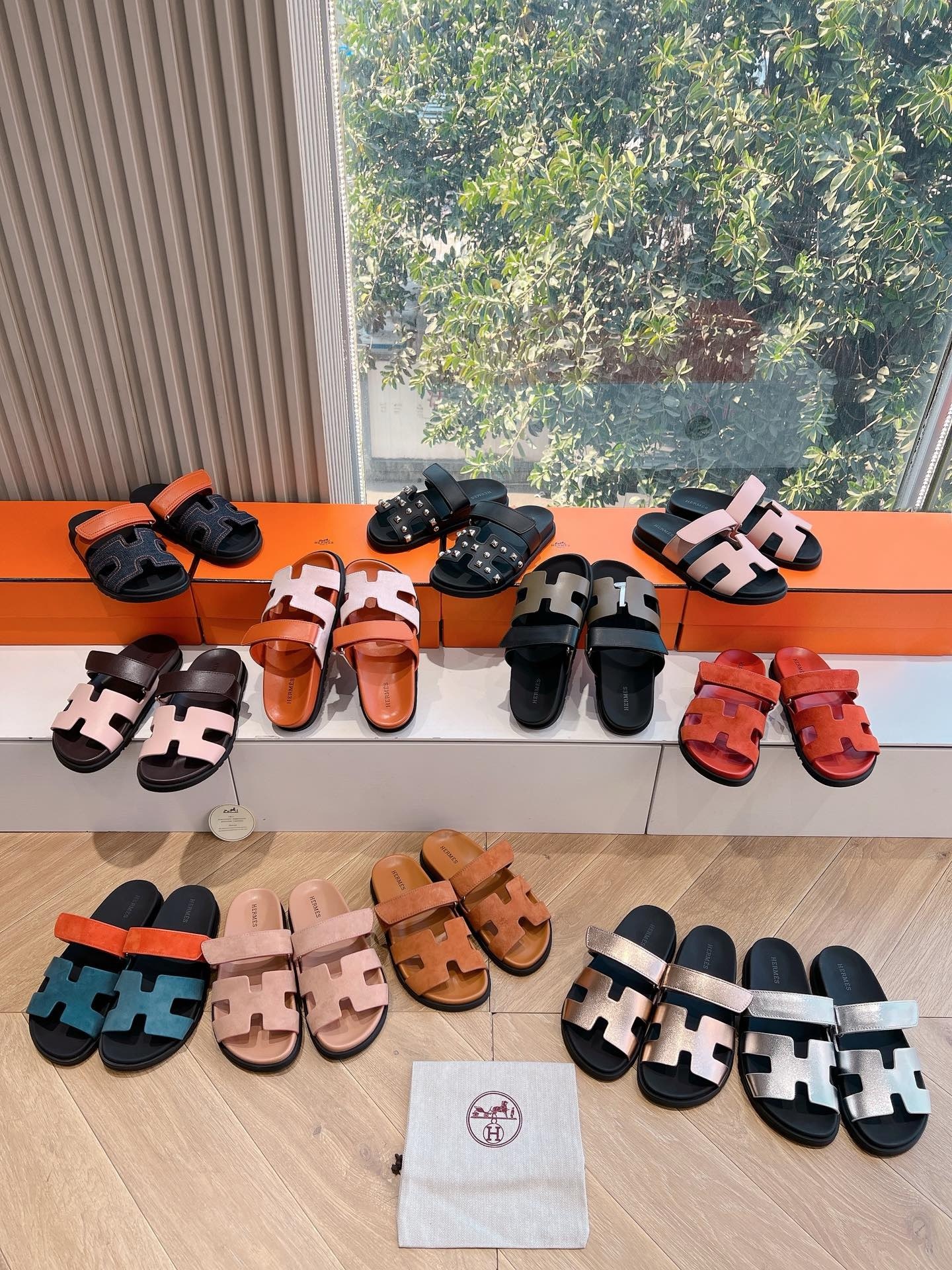 IMG_5186-1741579513615