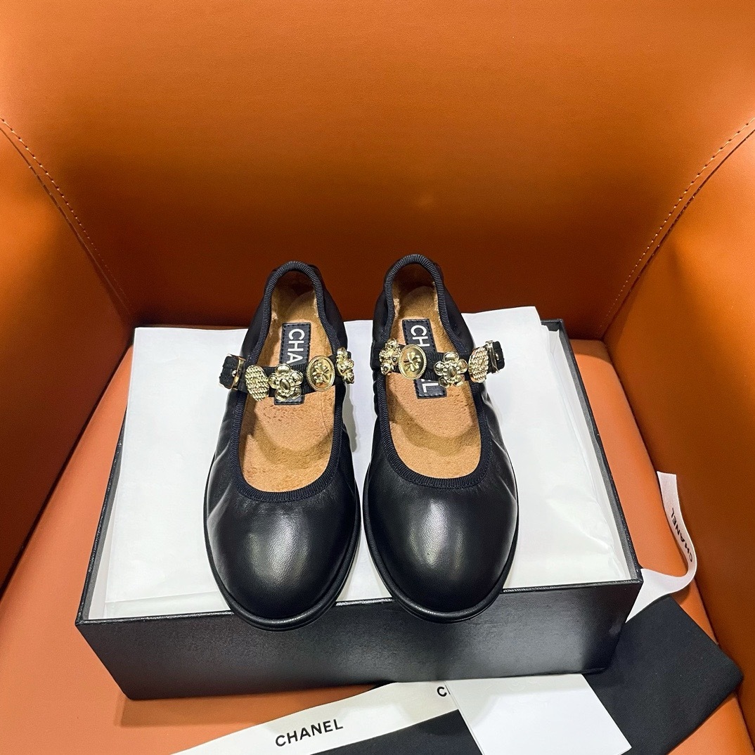 IMG_5213-1741585014481