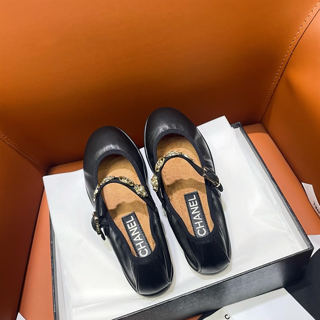 IMG_5217-1741585014468