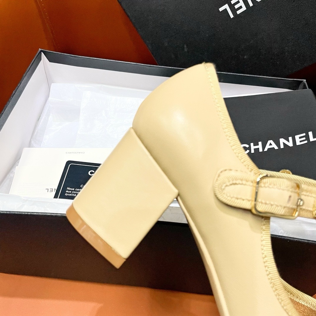 IMG_5229-1741585145337