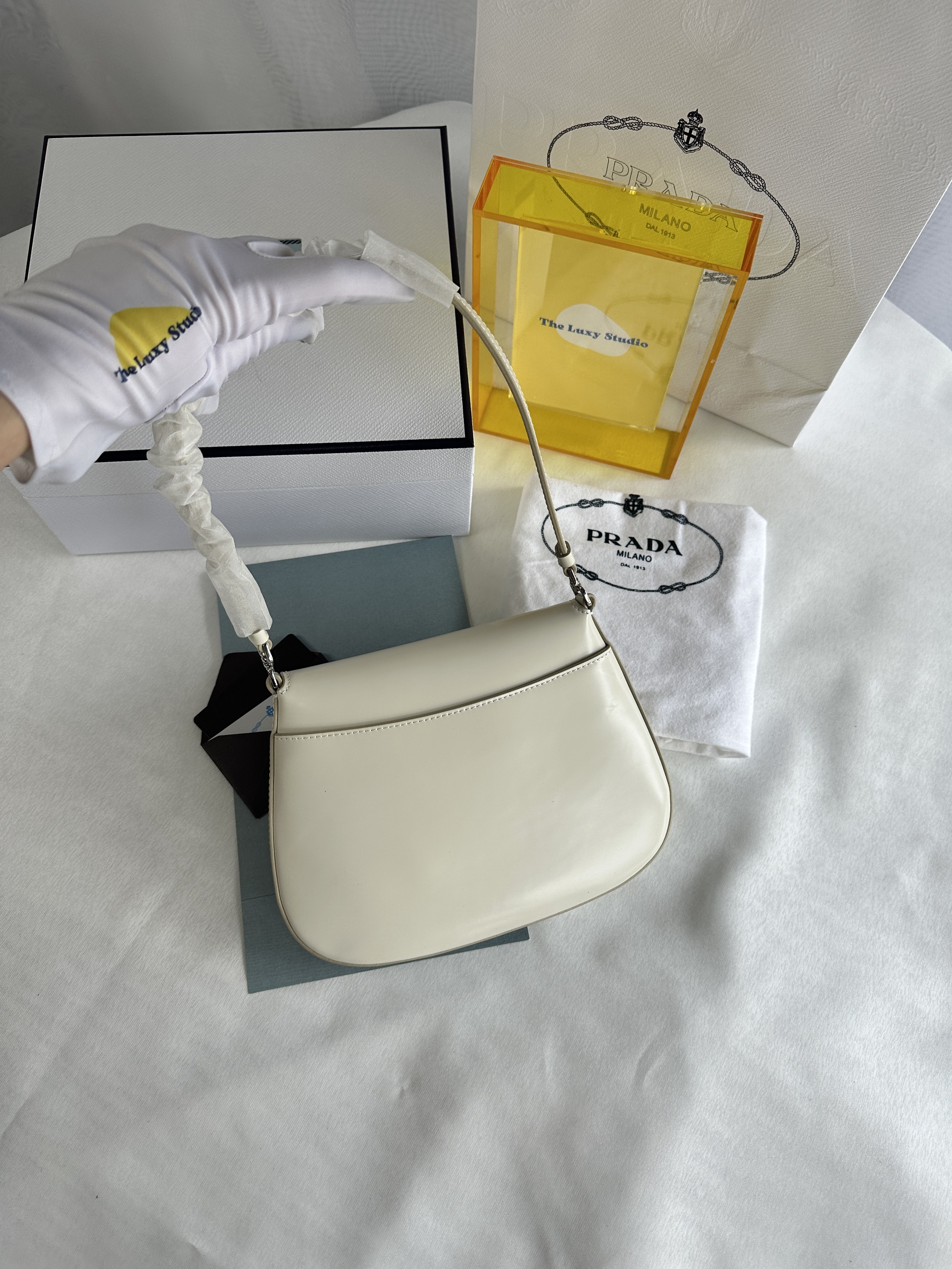 IMG_7497-1741611477557